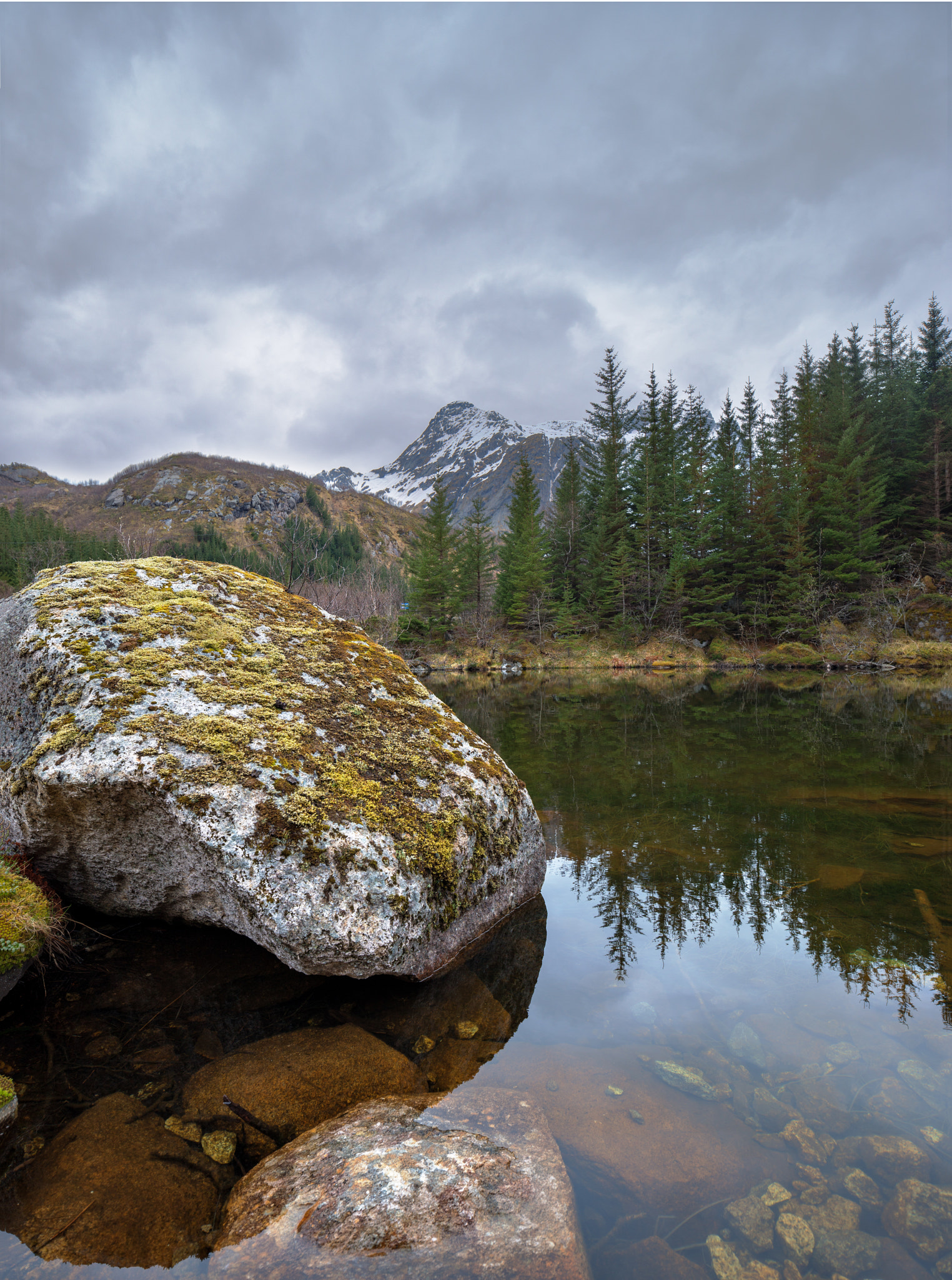 Canon TS-E 24.0mm f/3.5 L II sample photo. Nordland photography