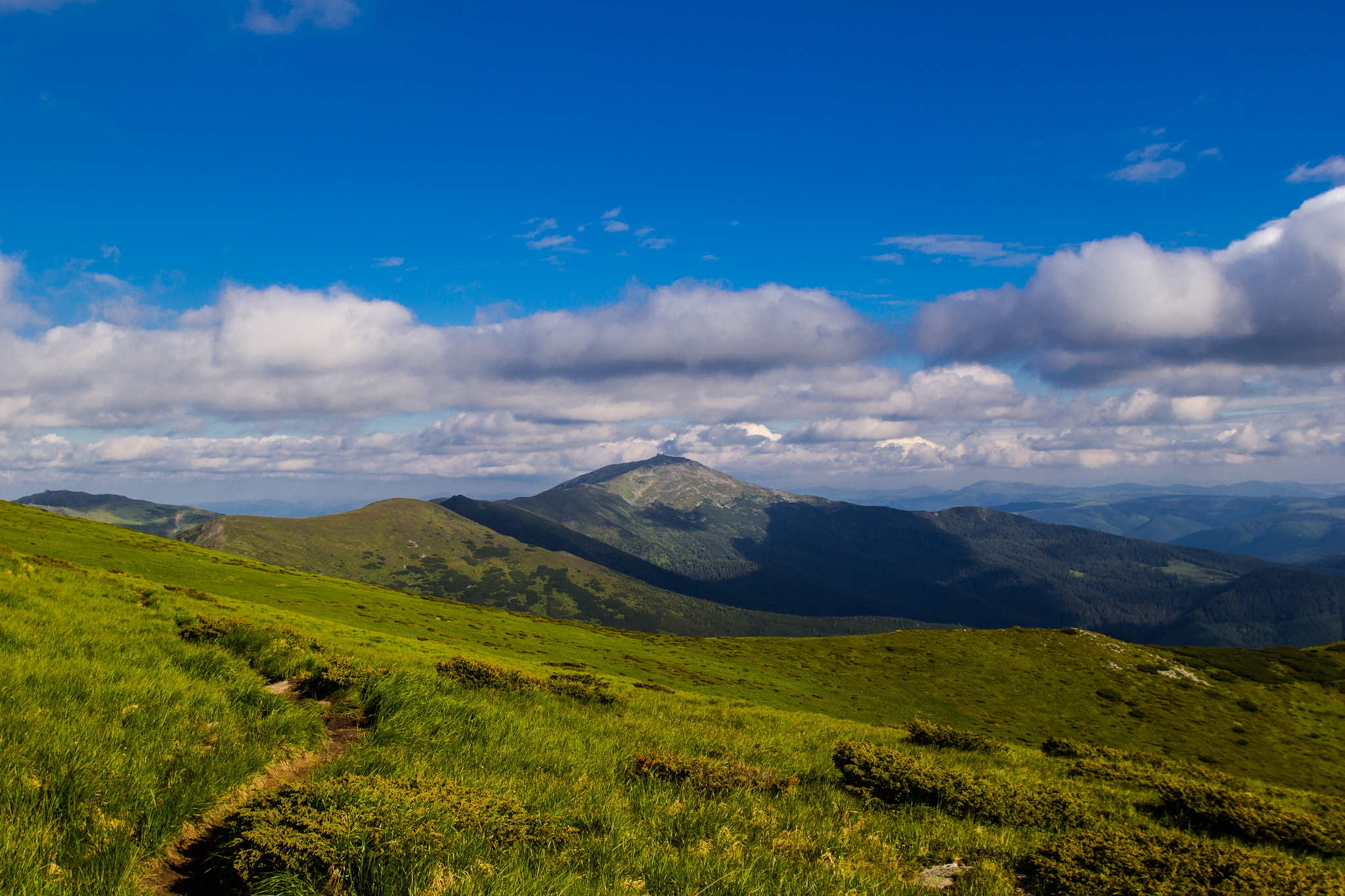 Canon EOS 60D + Sigma 20mm EX f/1.8 sample photo. Carpathian mountains june photography