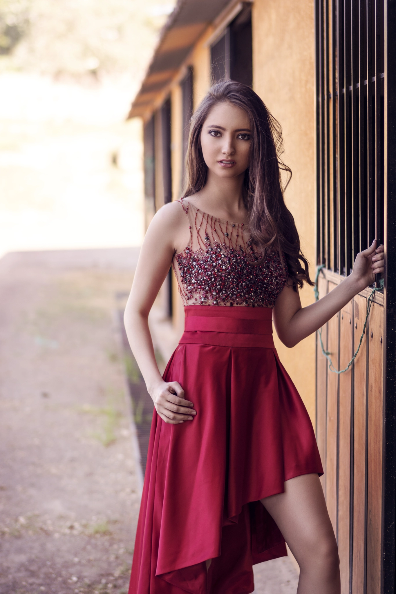 Sony Planar T* 50mm F1.4 ZA SSM sample photo. Isabella photography