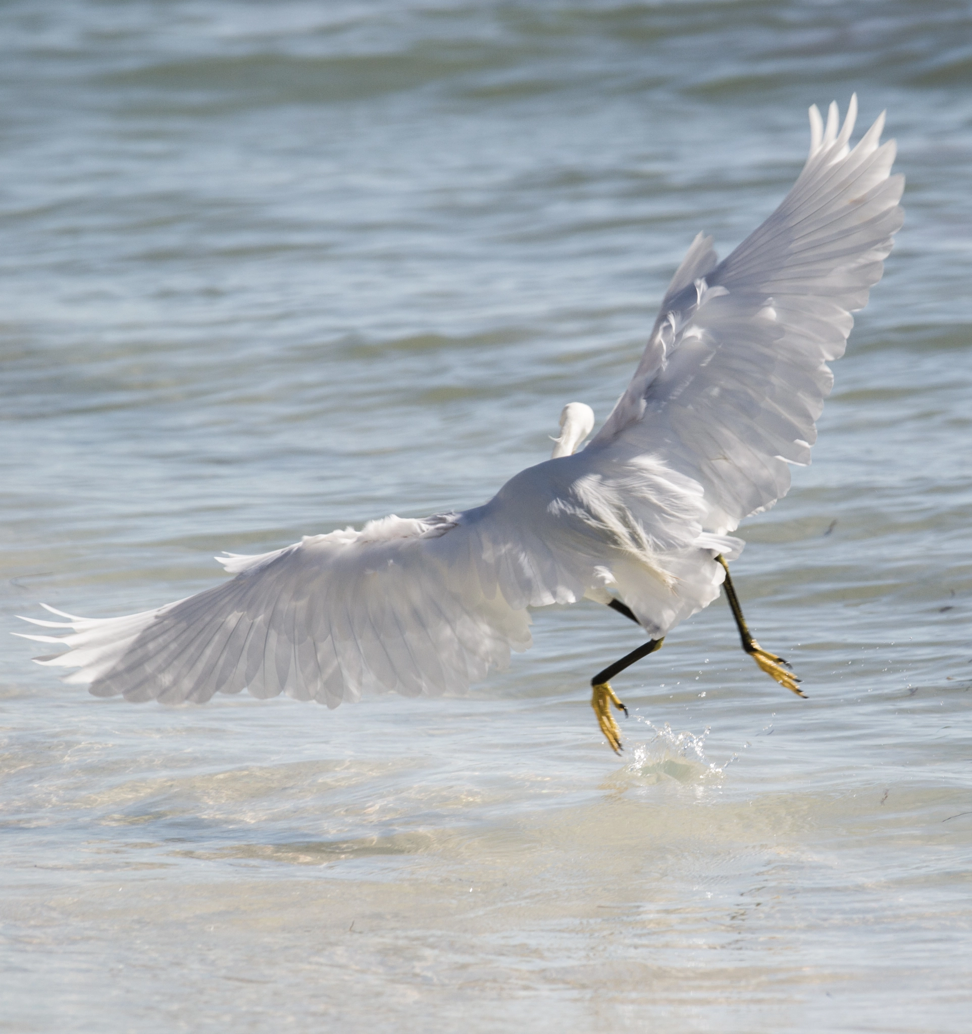 Sigma 120-400mm F4.5-5.6 DG OS HSM sample photo. L'esquive photography