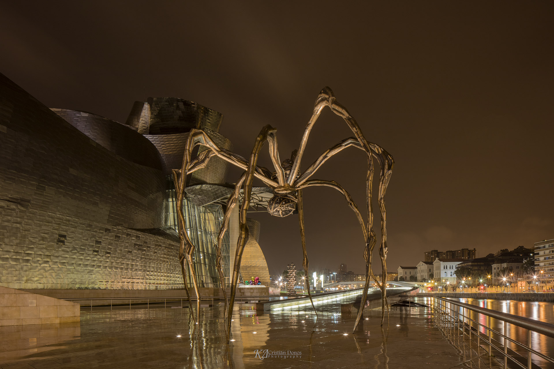 Canon TS-E 24.0mm f/3.5 L II sample photo. Guggenheim museum bilbao photography