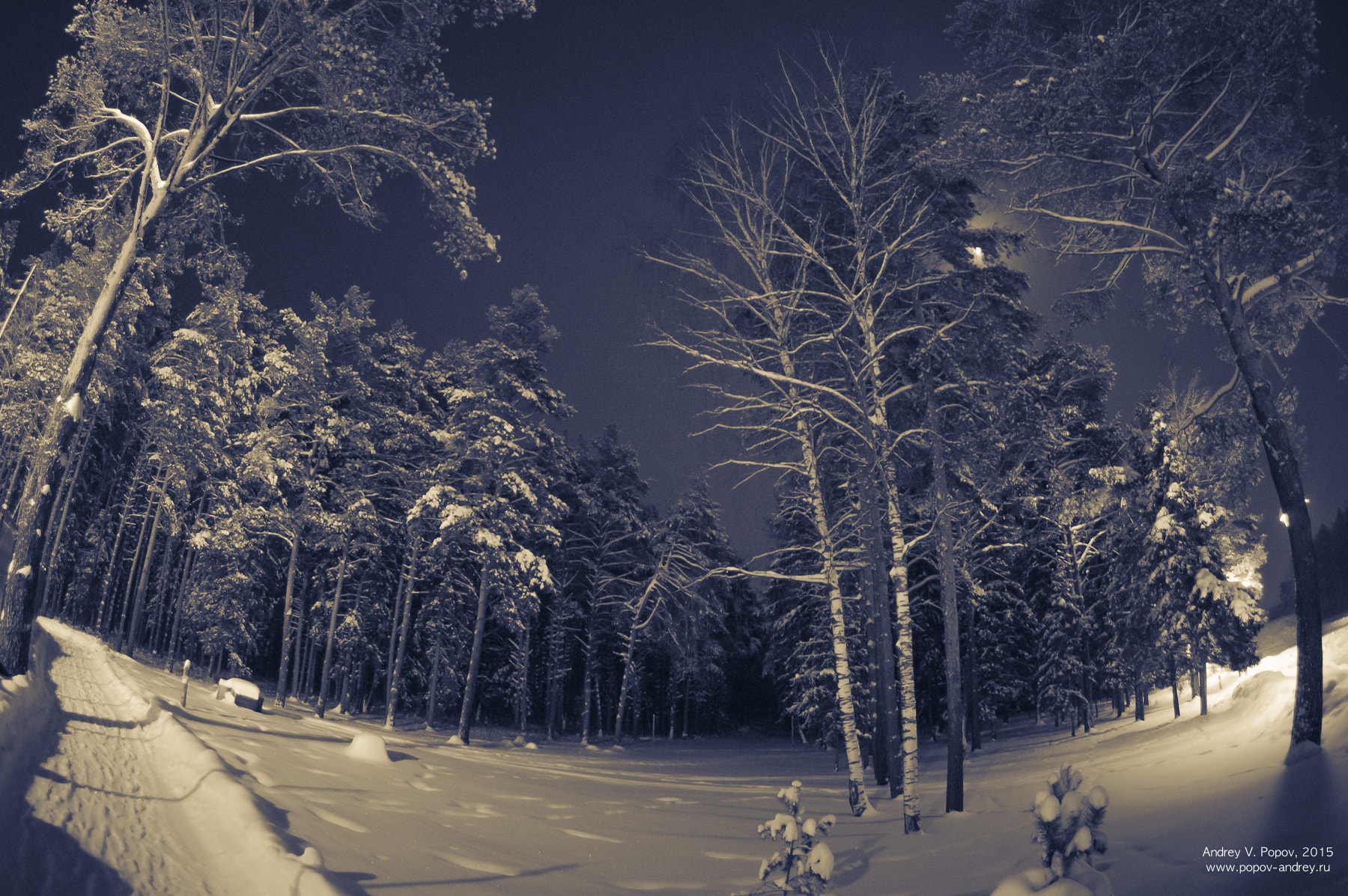 Pentax K-3 sample photo. Winter forest photography