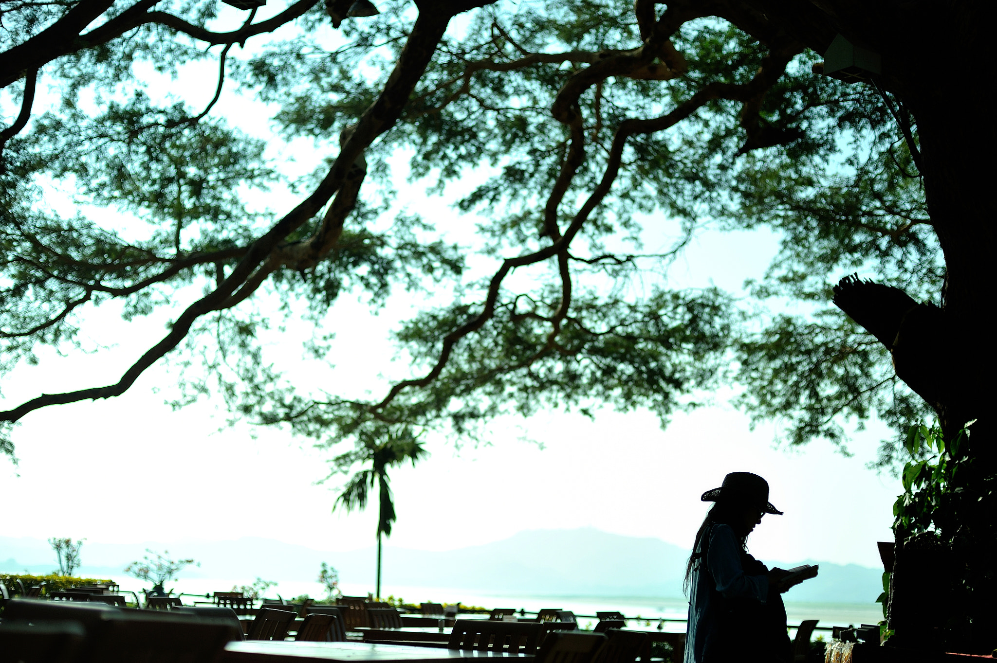 Nikon D700 + Voigtlander Nokton 58mm F1.4 SLII sample photo. A big tree at riverside photography