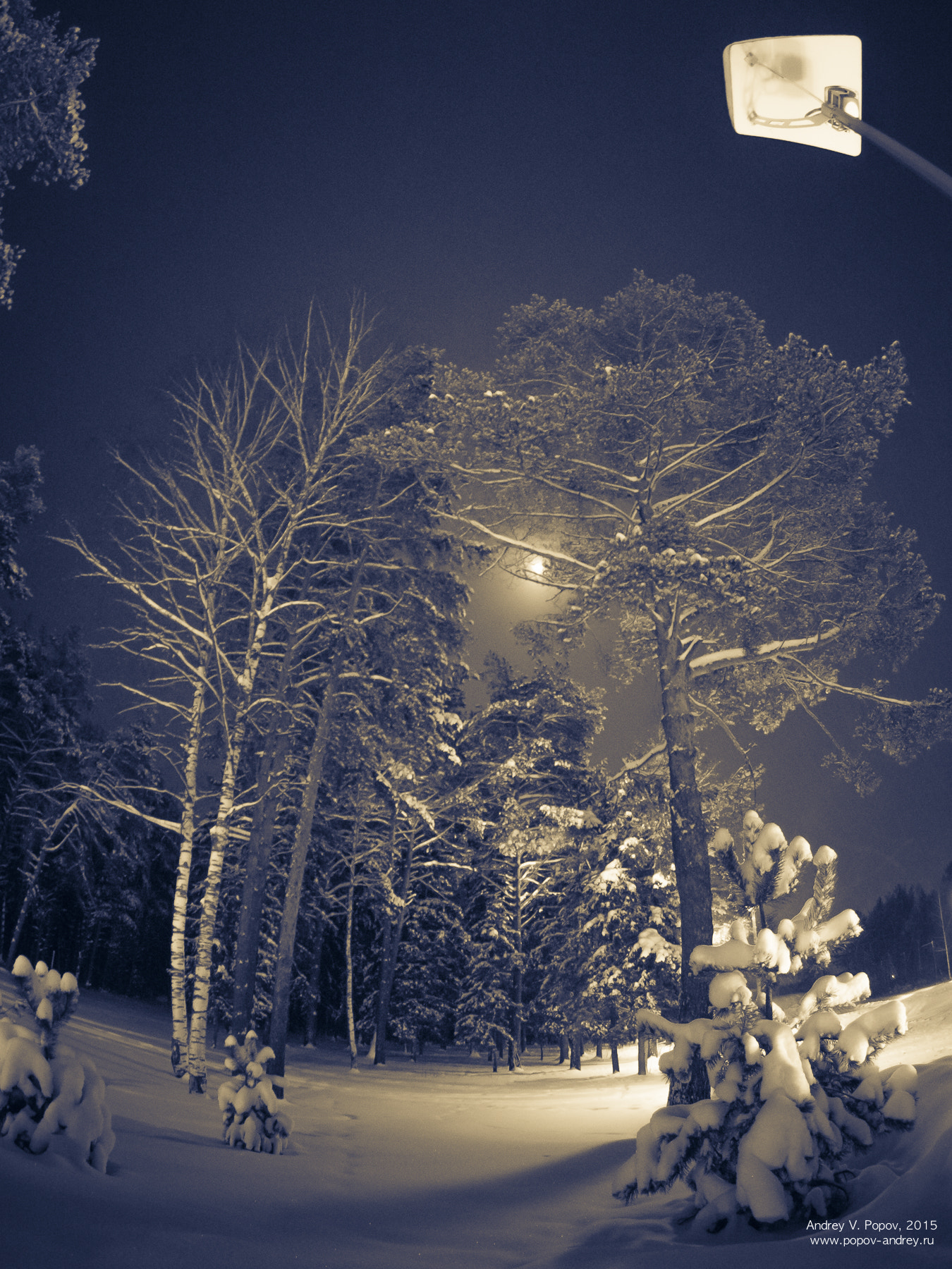 Pentax K-3 sample photo. Winter forest photography