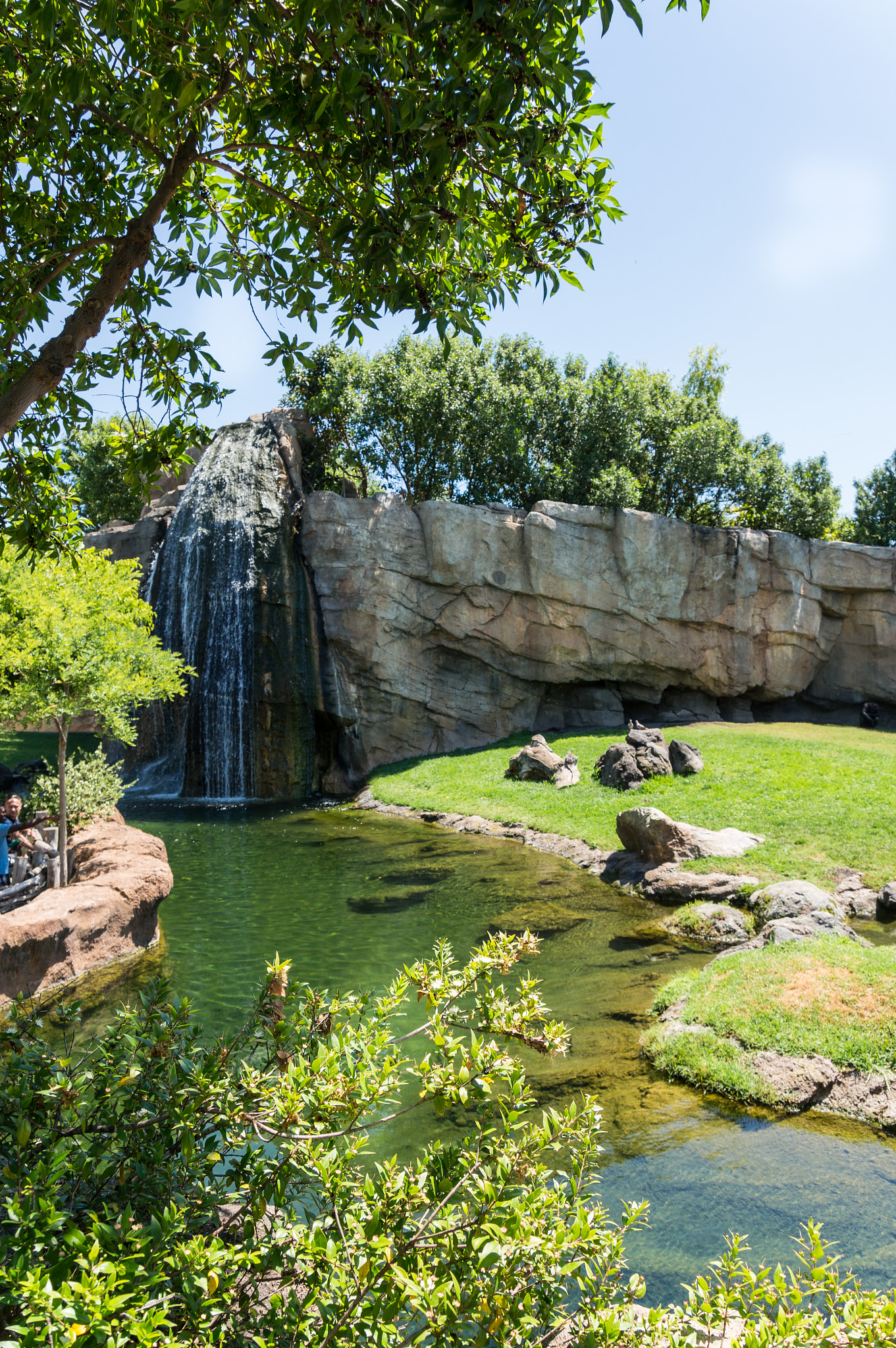 Sony Alpha NEX-6 + Sony E 18-200mm F3.5-6.3 OSS sample photo. Landscape on zoo photography