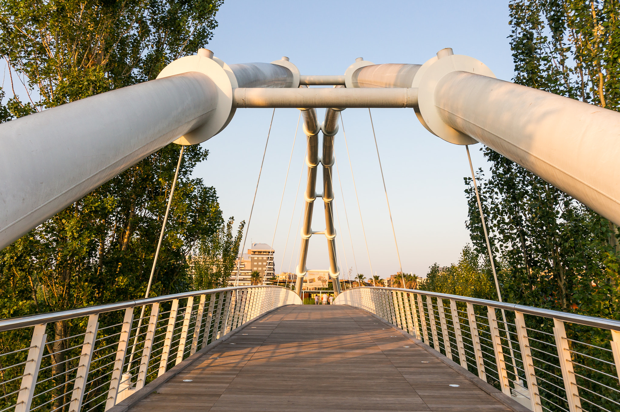 Sony Alpha NEX-6 + Sony E 18-200mm F3.5-6.3 OSS sample photo. Bridge to zoo photography