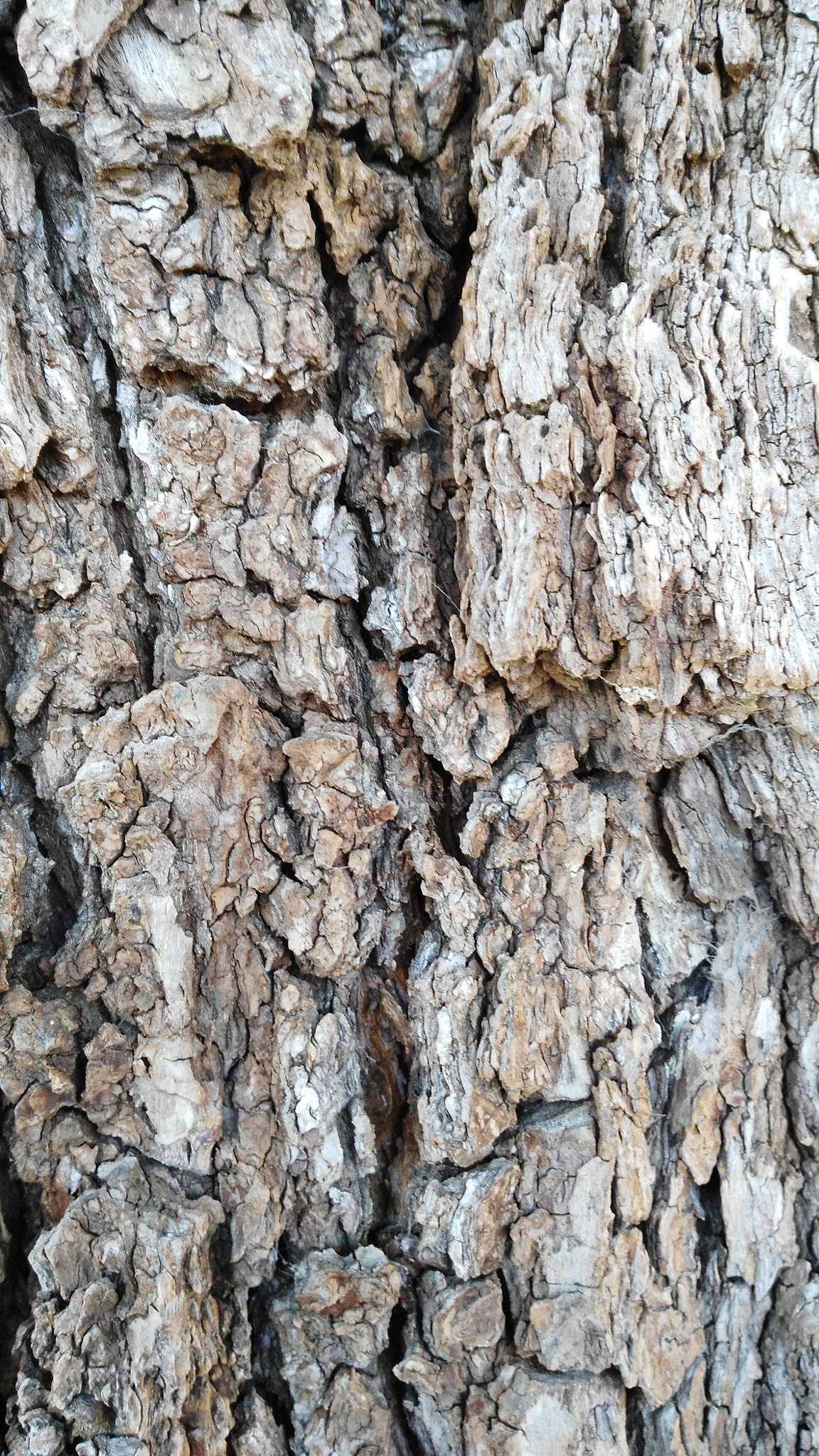 HUAWEI G7-L03 sample photo