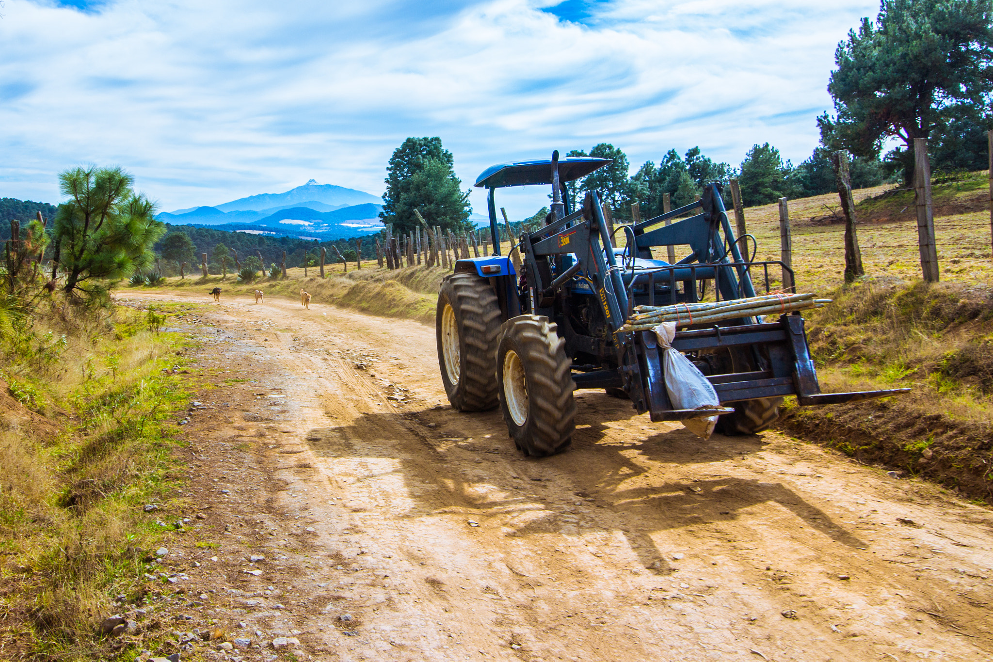 Canon EF-S 10-18mm F4.5–5.6 IS STM sample photo. Tractor con perros photography