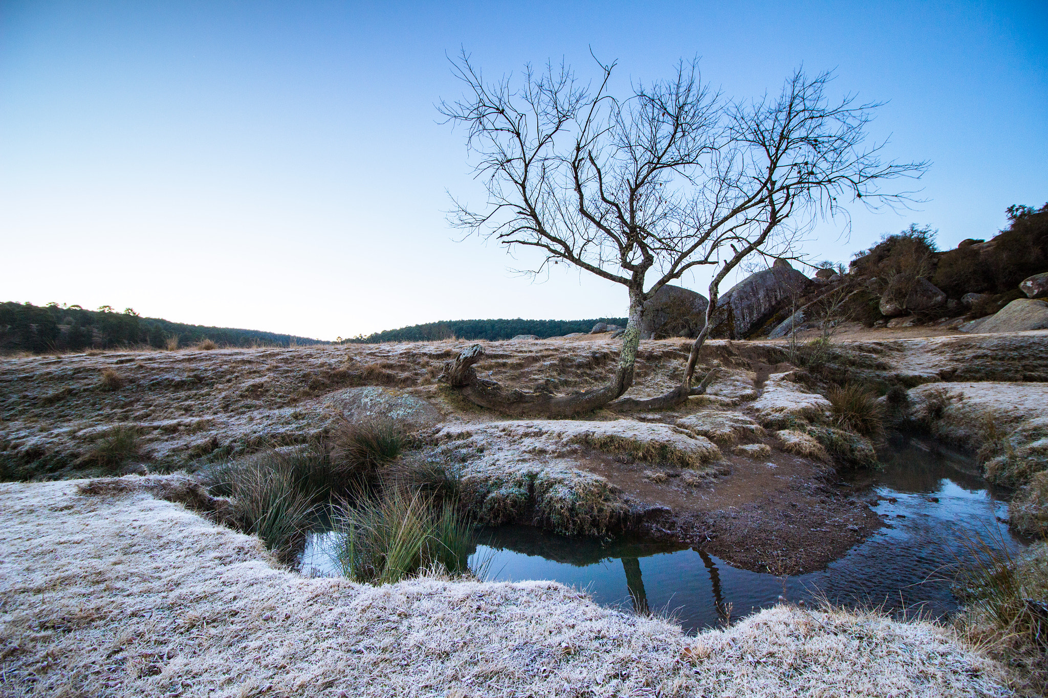 Canon EF-S 10-18mm F4.5–5.6 IS STM sample photo. Escarcha photography