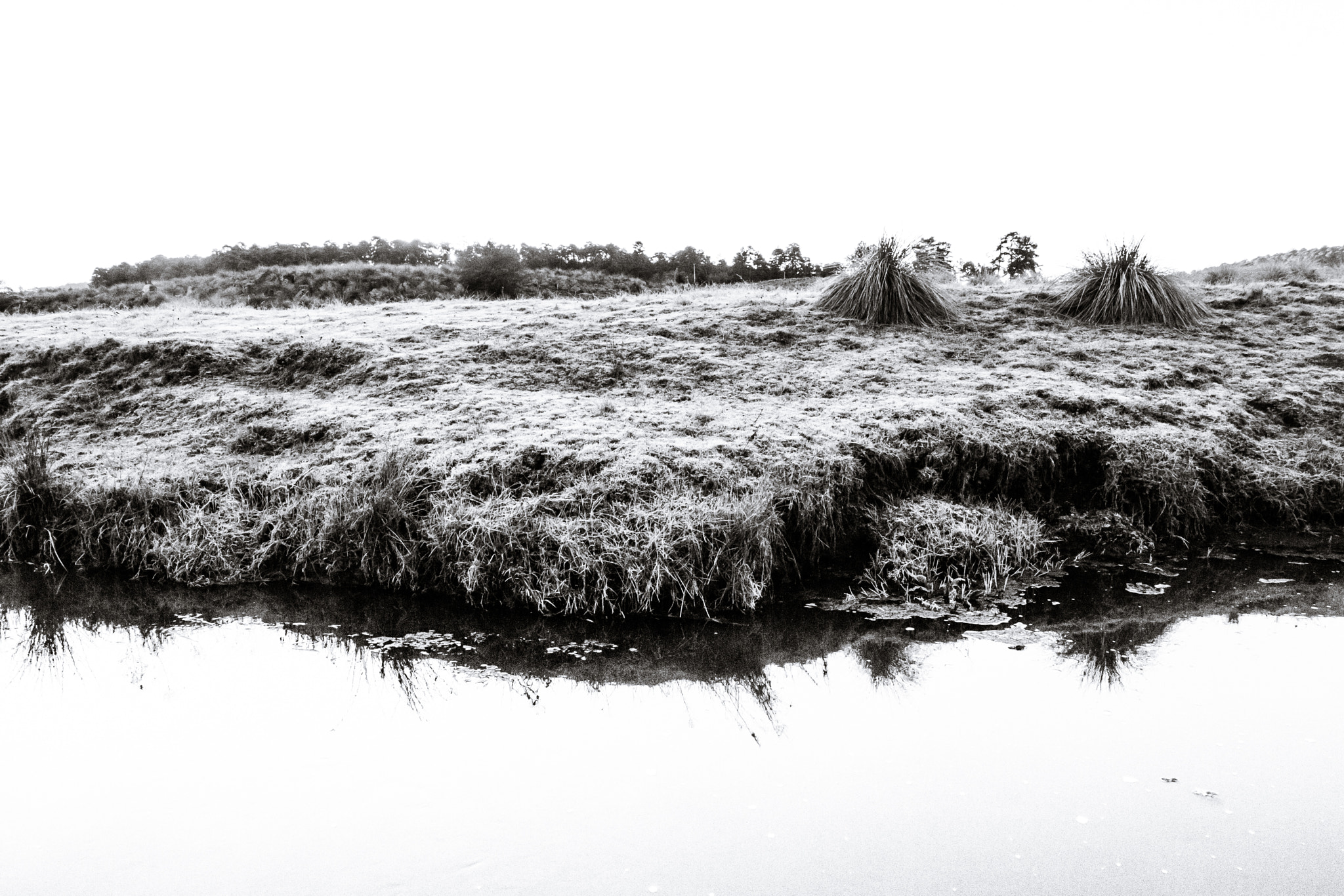 Canon EF-S 10-18mm F4.5–5.6 IS STM sample photo. Reflejo photography
