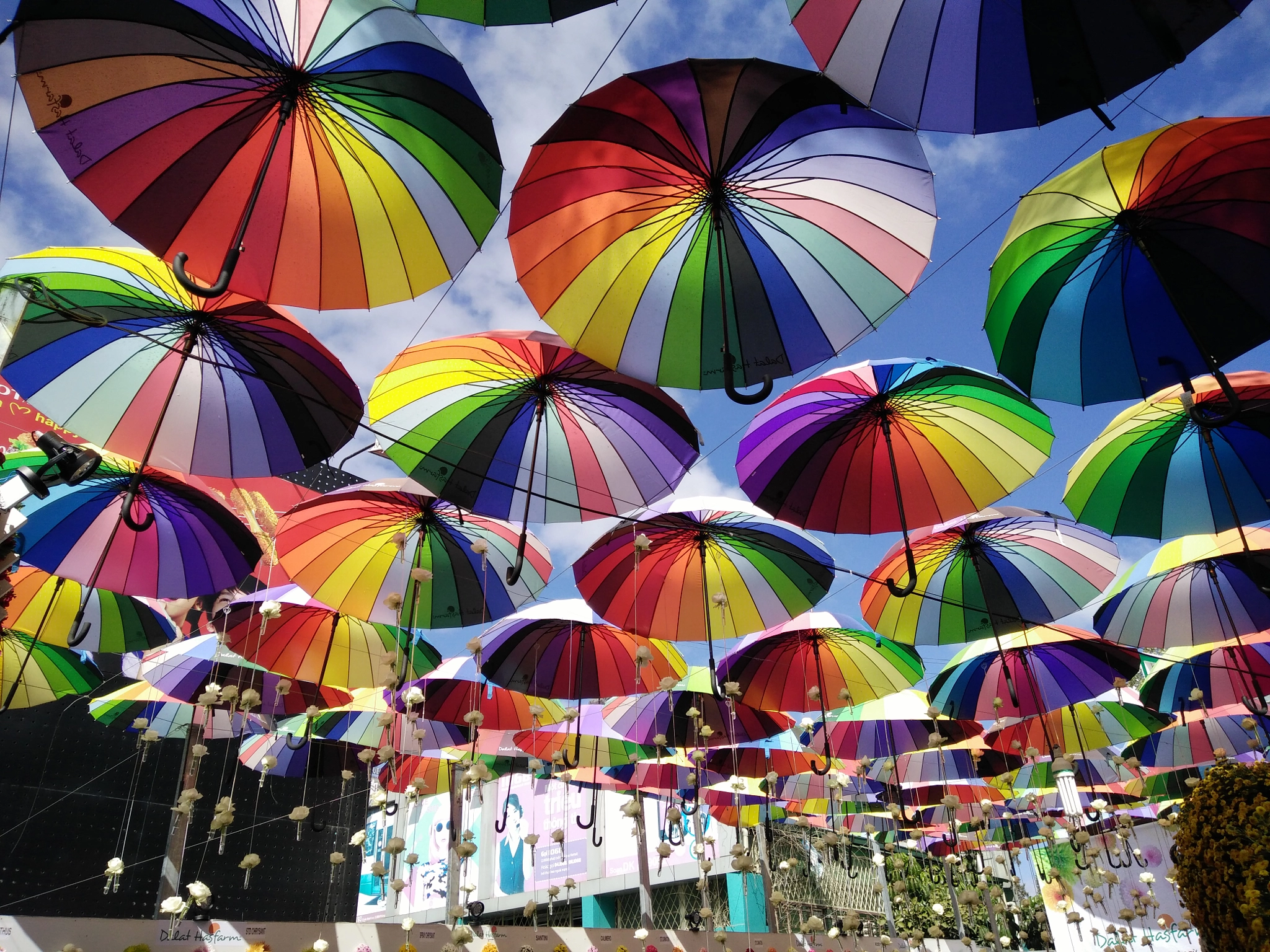 OPPO R7 Lite sample photo. Umbrellas in my world photography