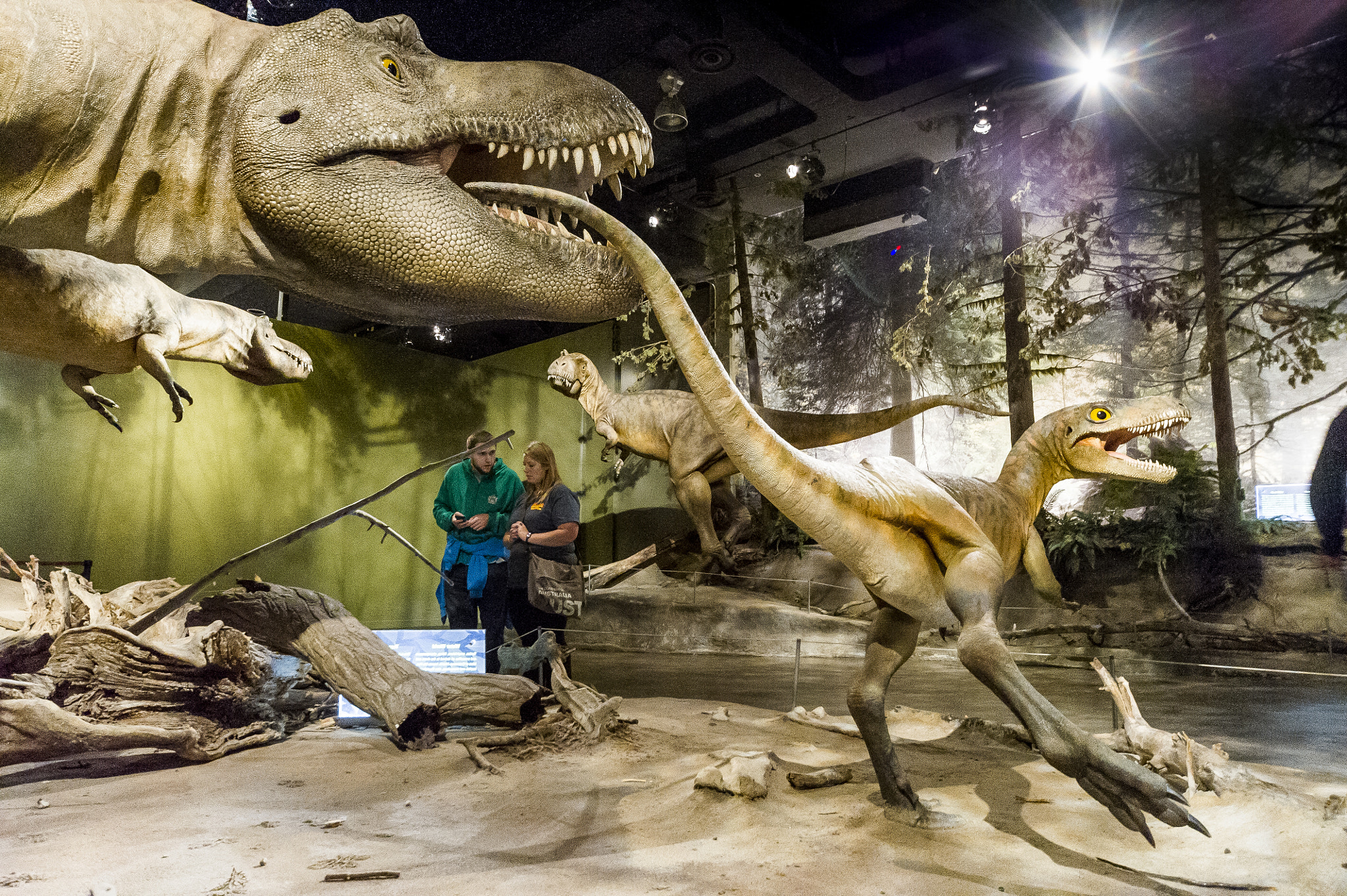 Sigma 12-24mm F4.5-5.6 EX DG Aspherical HSM sample photo. Tyrannosaur models at tyrrell museum drumheller alberta photography