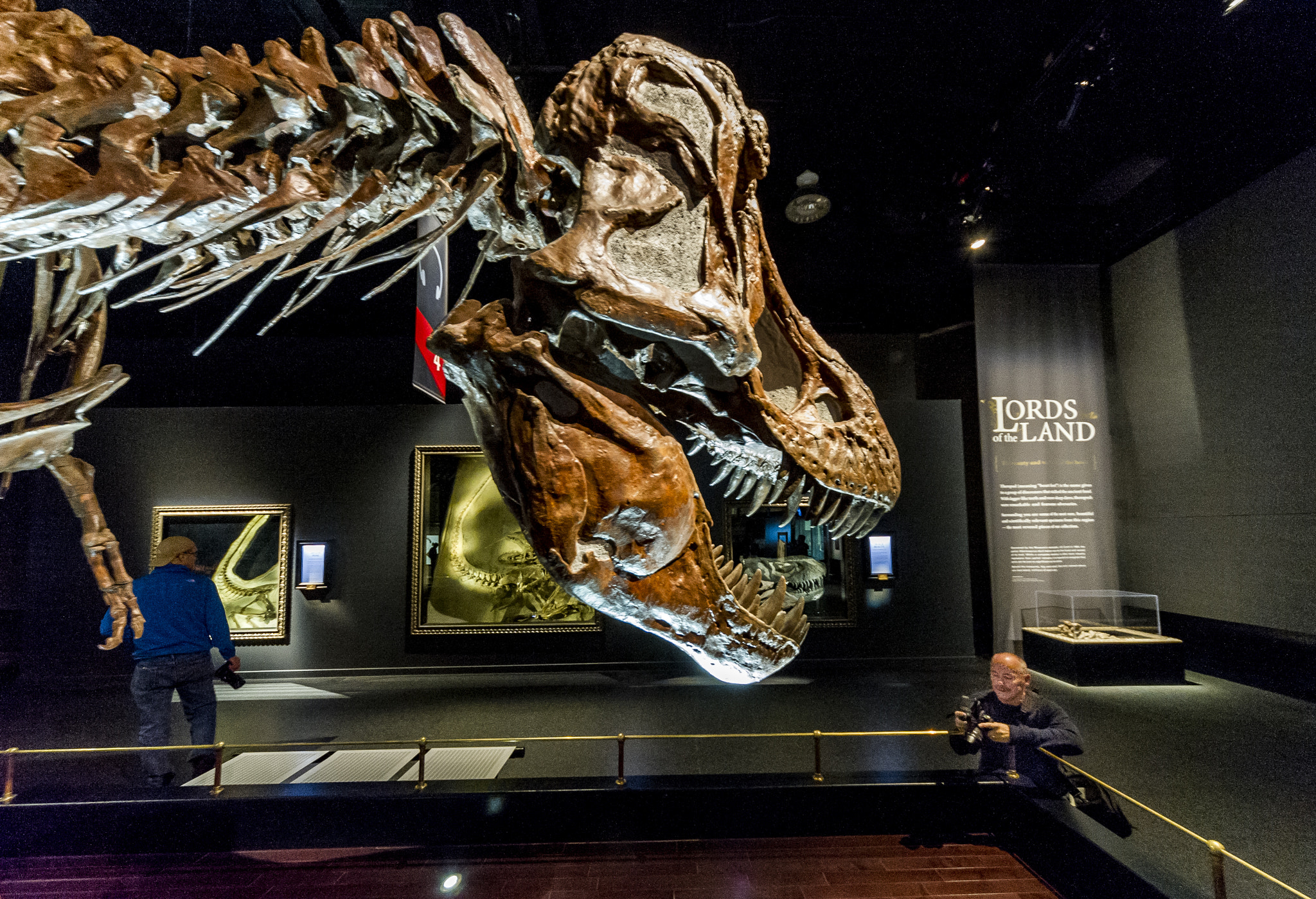 Sigma 12-24mm F4.5-5.6 EX DG Aspherical HSM sample photo. Tyrannosaurus rex model on display at tyrrell museum drumheller alberta photography
