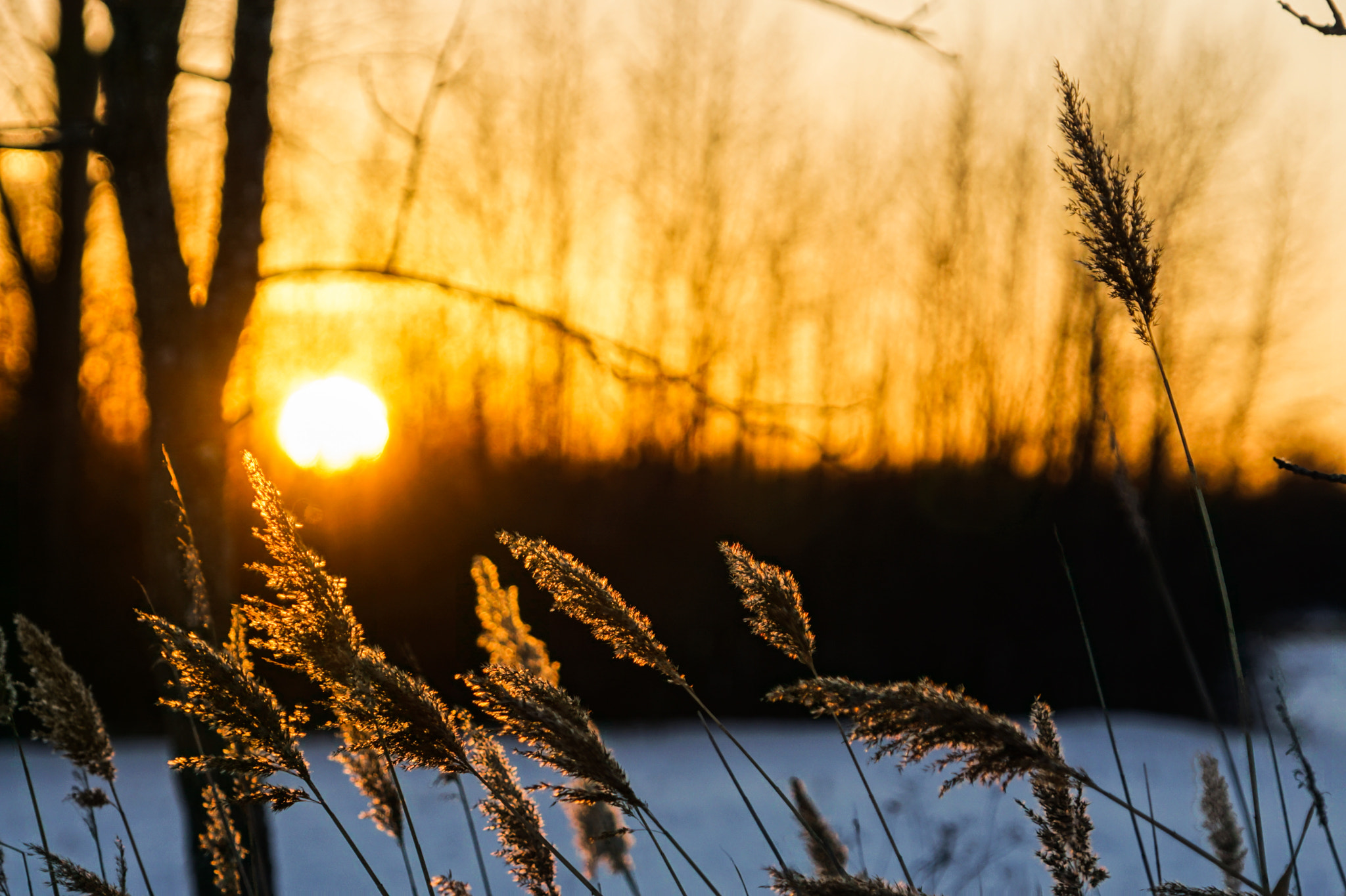 Sony a6000 + Sony FE 24-240mm F3.5-6.3 OSS sample photo. Collezione oro photography