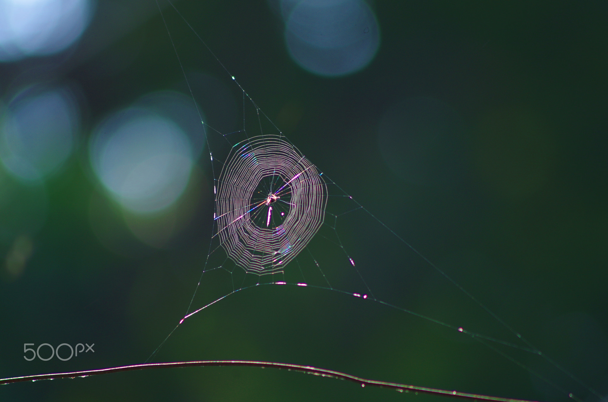 Web & Bokeh !