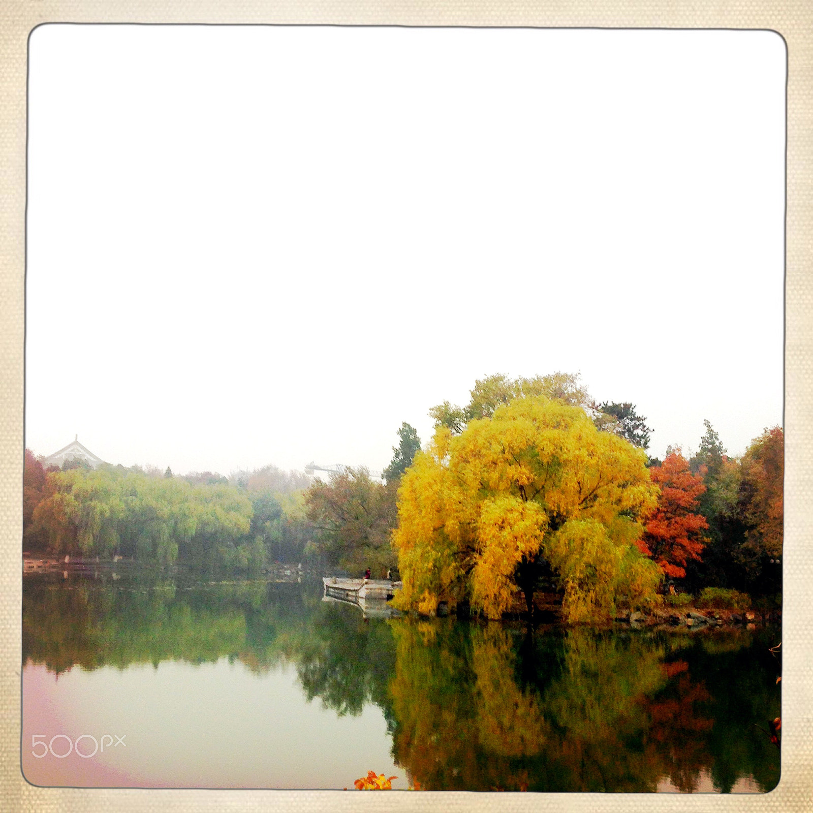 Hipstamatic 303 sample photo. Autumn in peking university photography