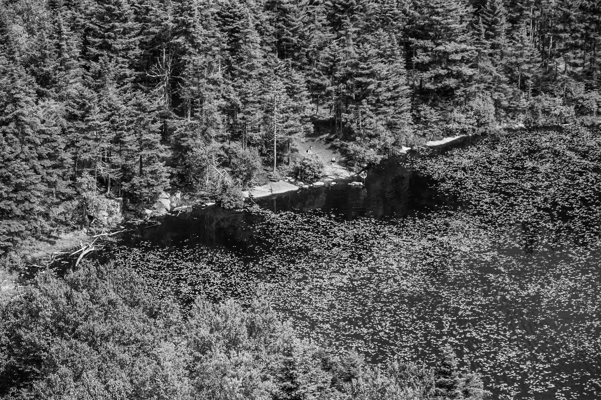 Sigma 17-70mm F2.8-4 DC Macro OS HSM sample photo. Lake solitude black and white photography