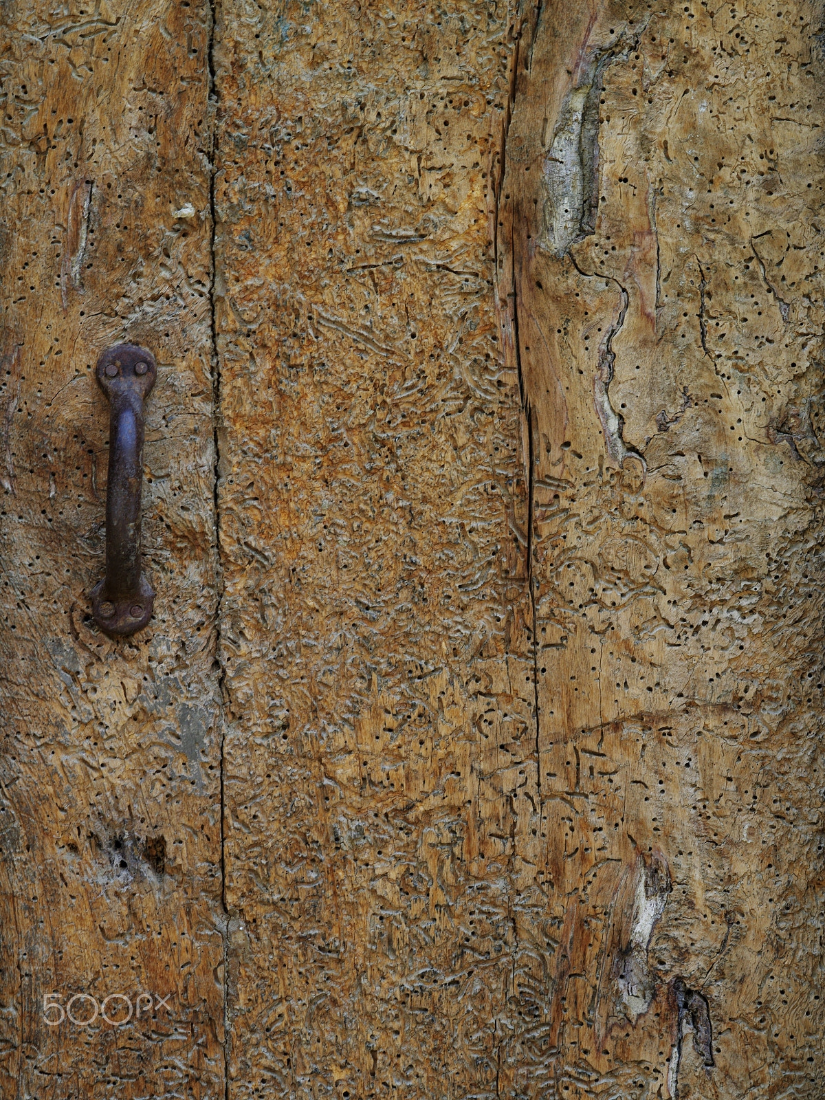 Pentax 645D + smc PENTAX-FA 645 Macro 120mm F4 sample photo. Old door with tuxture photography