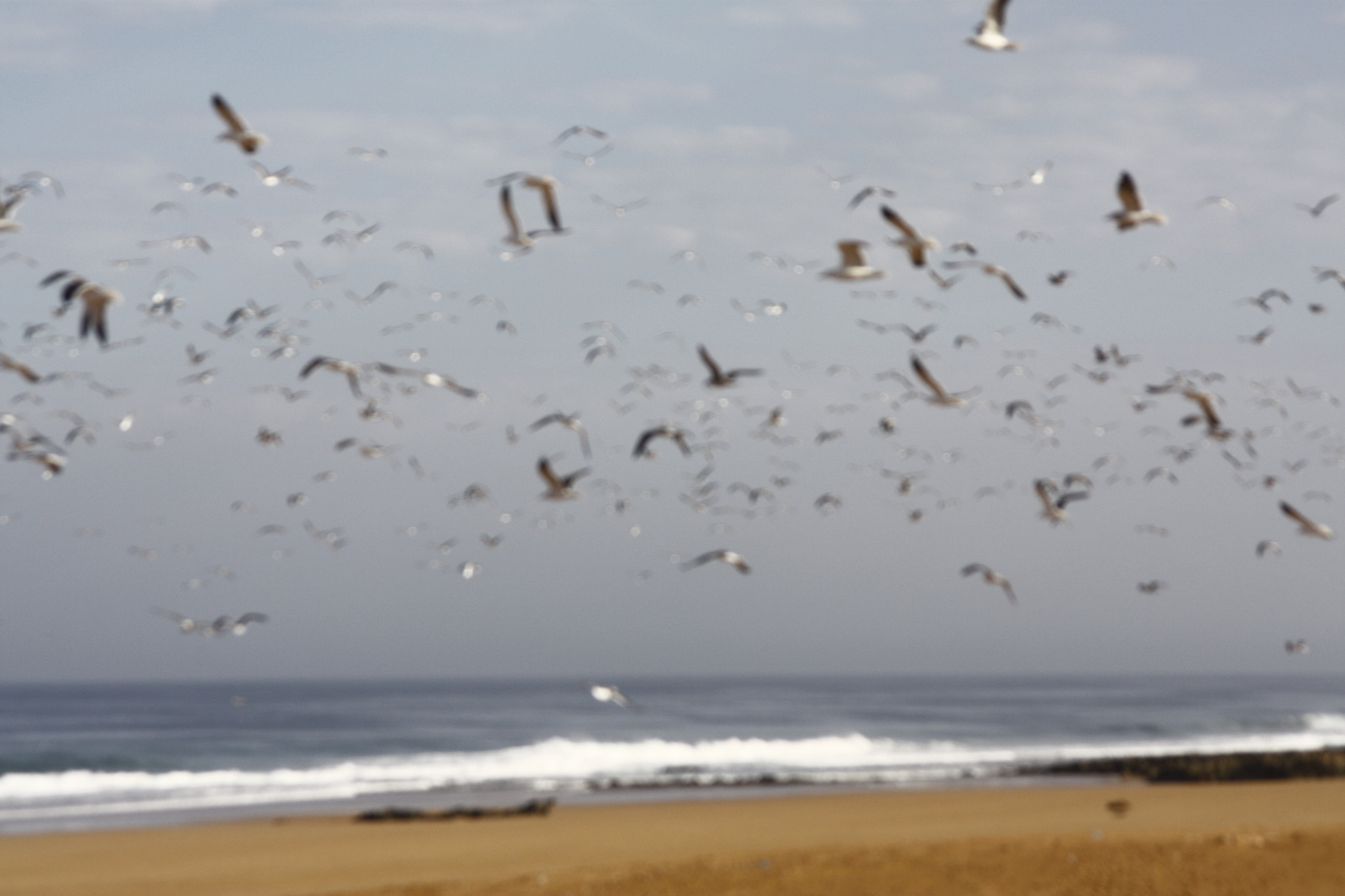 Canon EF 35-105mm f/4.5-5.6 USM sample photo. The sea photography