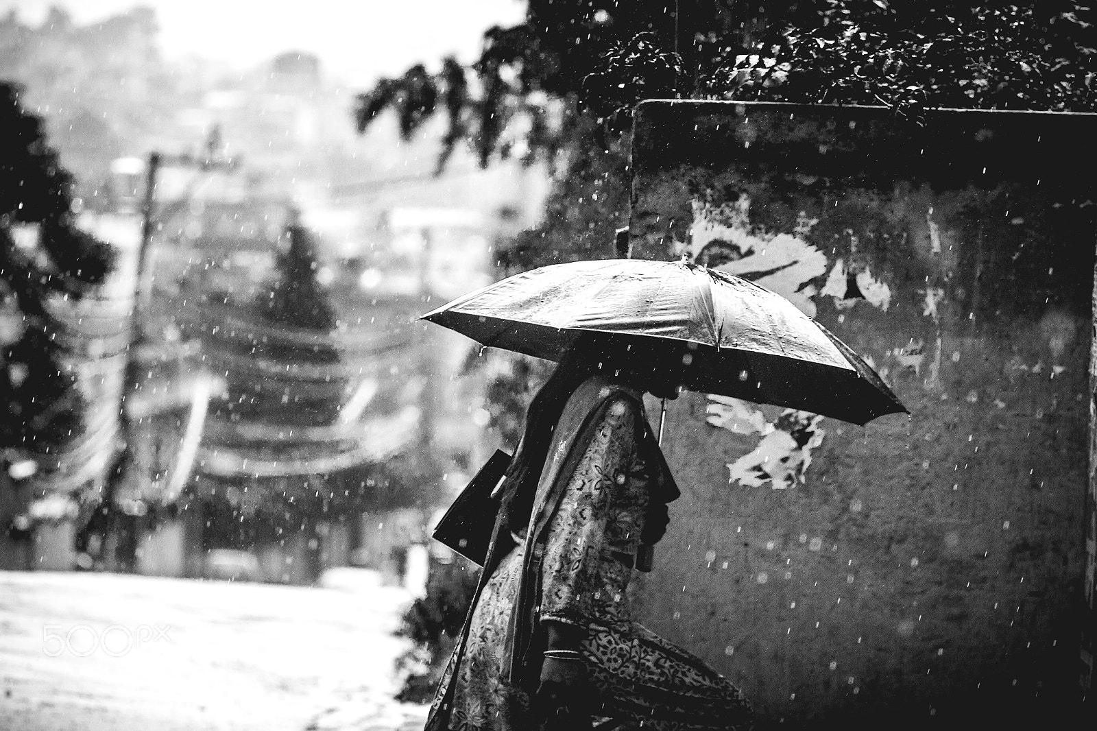 Canon EOS 550D (EOS Rebel T2i / EOS Kiss X4) + Canon EF 100mm F2.8 Macro USM sample photo. Downpour photography
