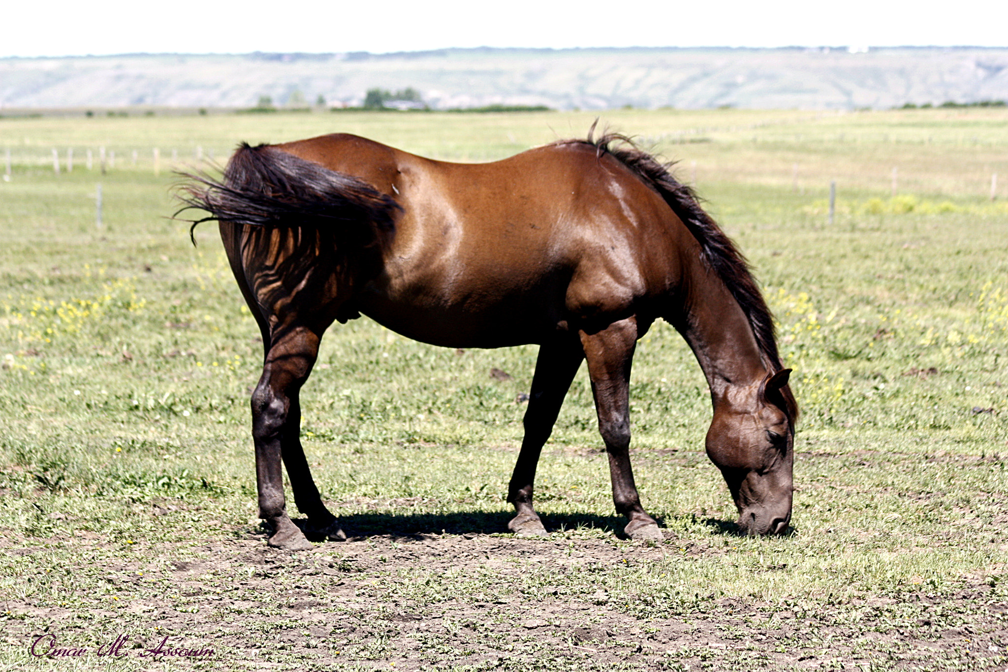 Canon EF 75-300mm F4.0-5.6 IS USM sample photo. Confidence photography