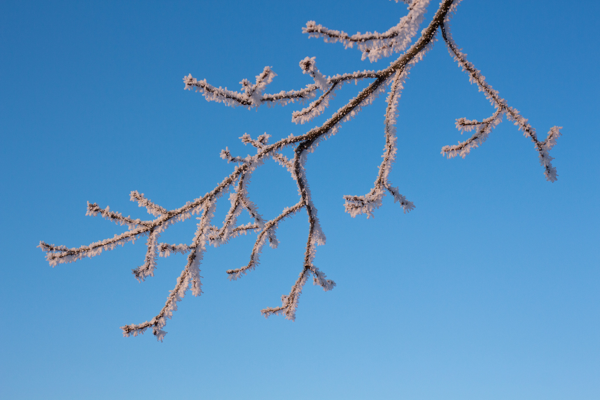 Canon EF 35mm F2 IS USM sample photo. Frosty winter wonderland 6 photography