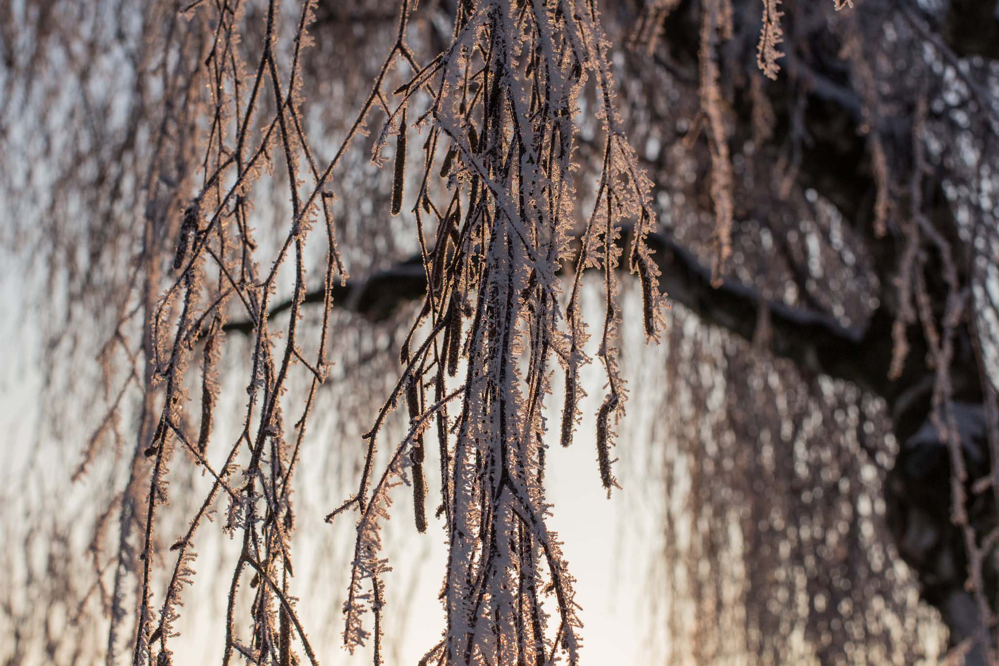 Canon EF 35mm F2 IS USM sample photo. Frosty winter wonderland 9 photography