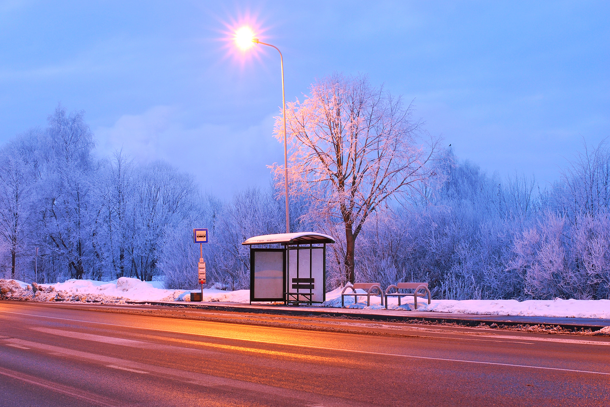 Nikon D80 + Nikon AF-S Nikkor 50mm F1.4G sample photo. Frosty and lonely morning photography