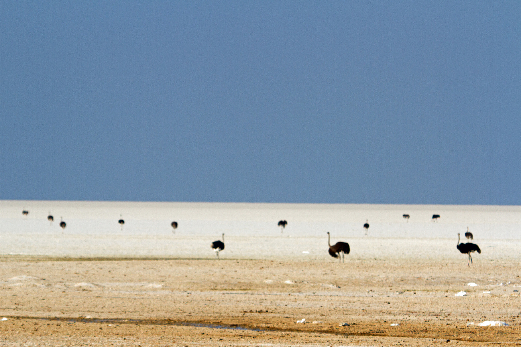 Canon EF 100-400mm F4.5-5.6L IS USM sample photo. Image photography