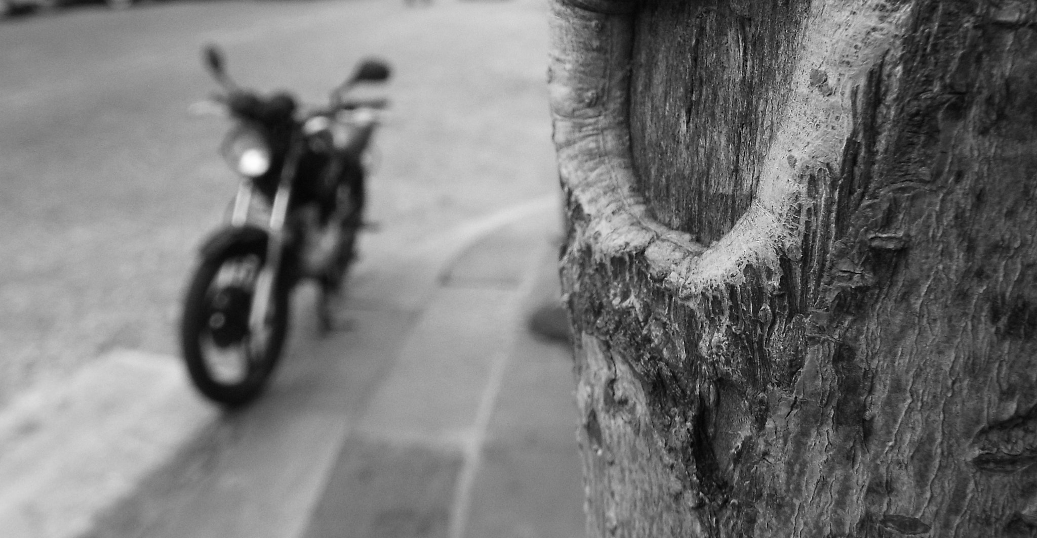 Fujifilm FinePix S9800 sample photo. Break the bike photography