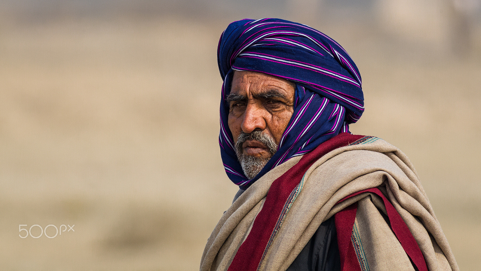 Canon EOS-1D Mark IV + Canon EF 400mm F5.6L USM sample photo. Stranger 18/100 photography