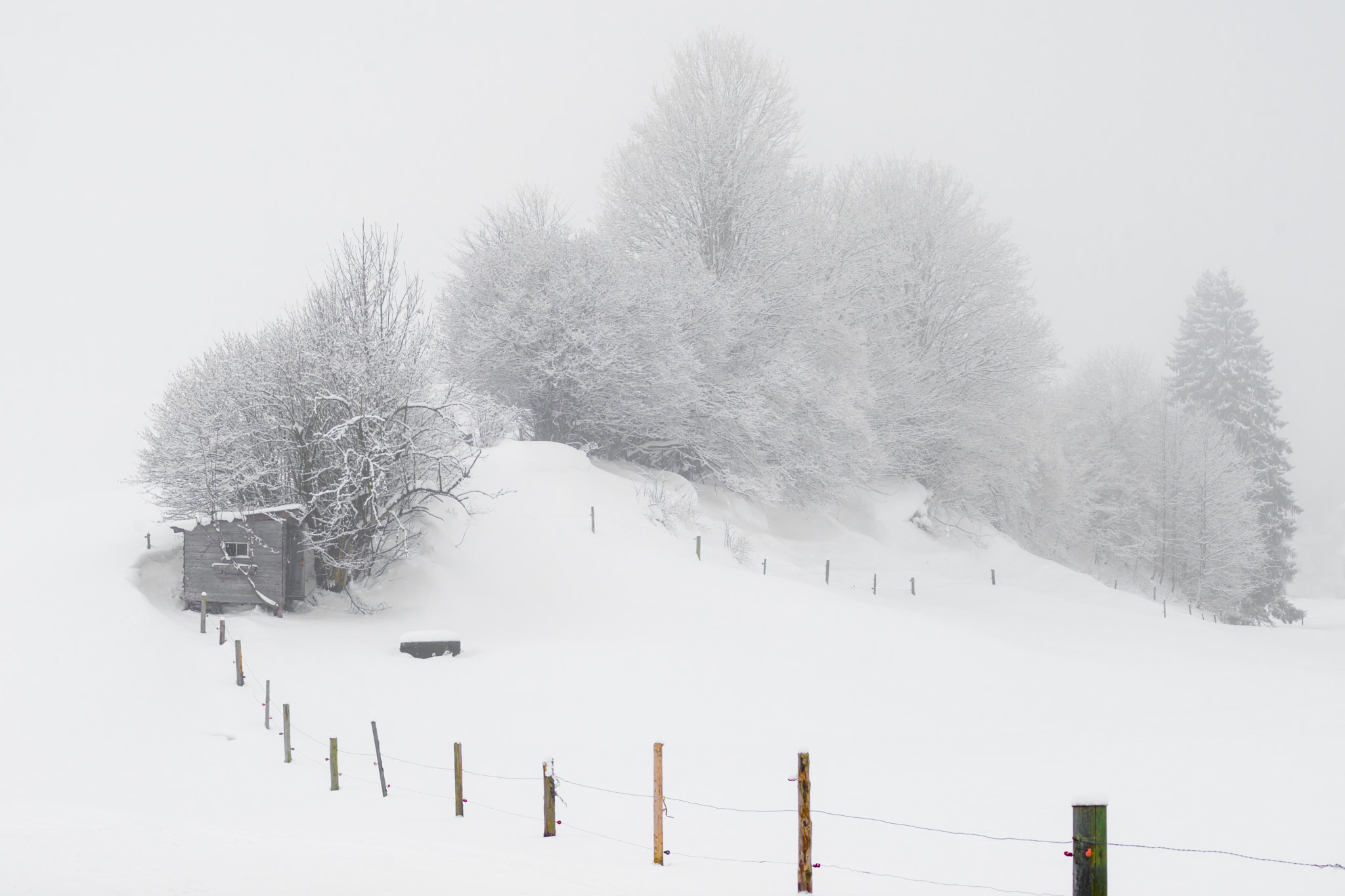 Minolta AF 70-210mm F4 Macro sample photo. Schnee trachslau photography