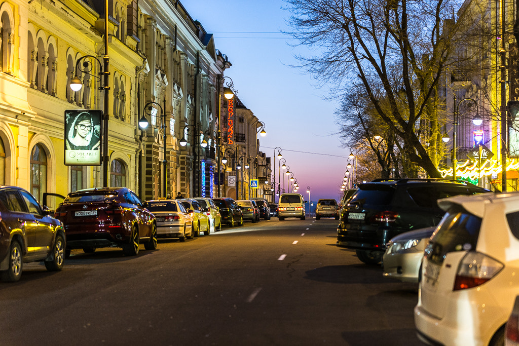 Sigma 70-200mm F2.8 EX DG OS HSM sample photo. Vladivostok |  Владивосток photography