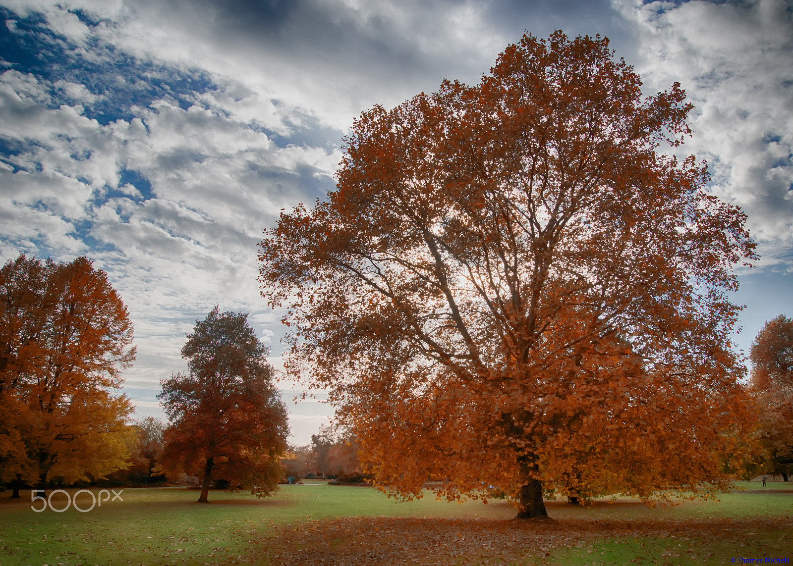 Sony SLT-A65 (SLT-A65V) sample photo. Herbst photography