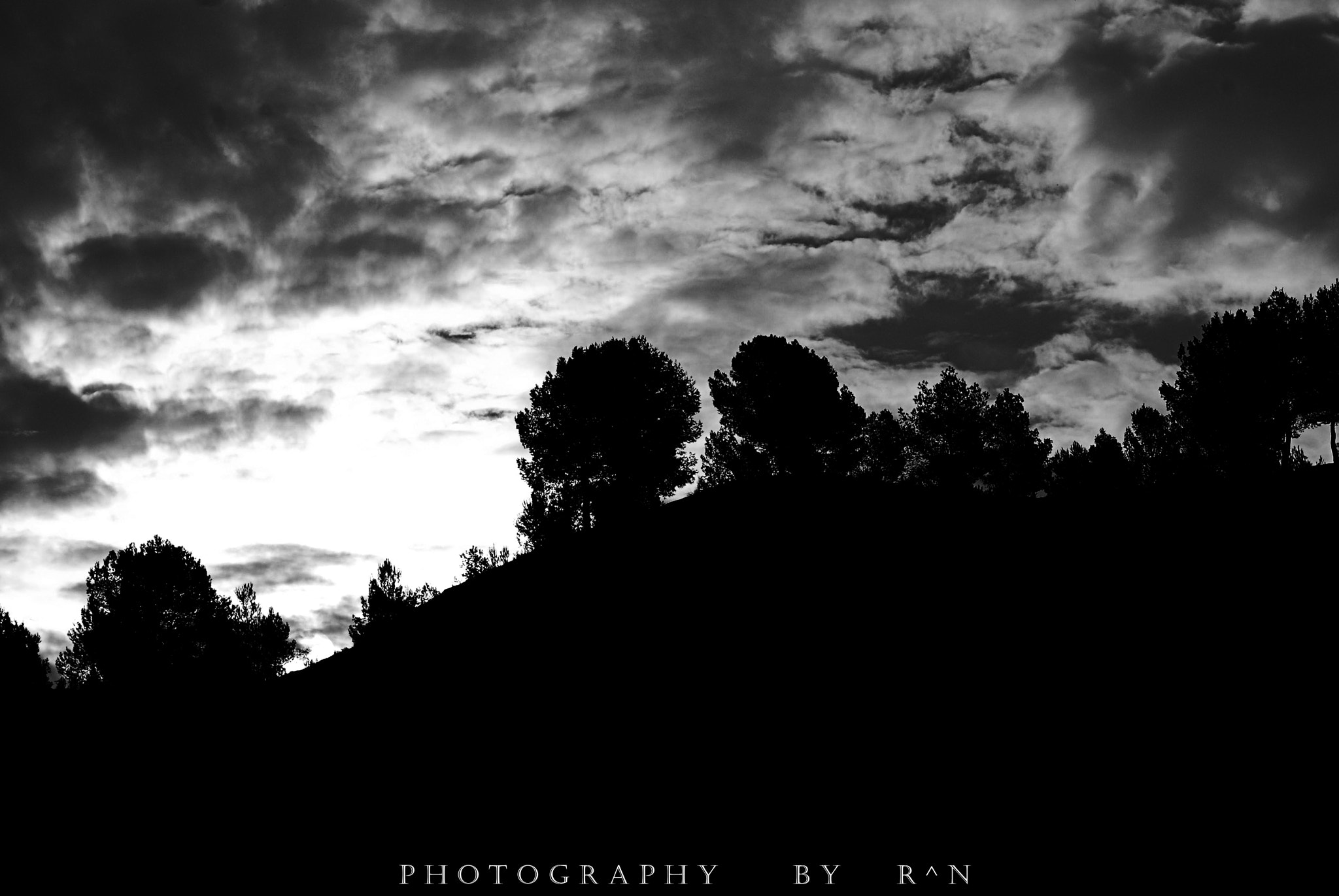 Sigma 105mm F2.8 EX DG OS HSM sample photo. Paracuellos photography