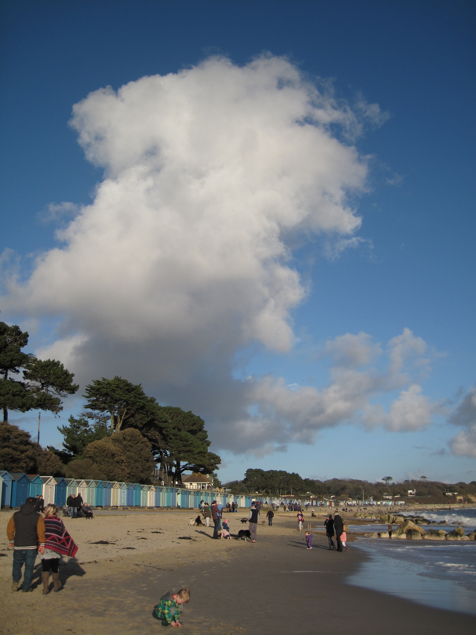 Canon PowerShot SD990 IS (Digital IXUS 980 IS / IXY Digital 3000 IS) sample photo. Mudeford at christmas photography