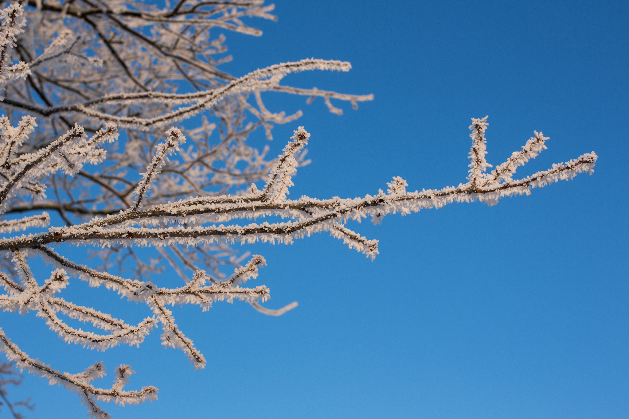 Canon EF 35mm F2 IS USM sample photo. Frosty winter wonderland 17 photography