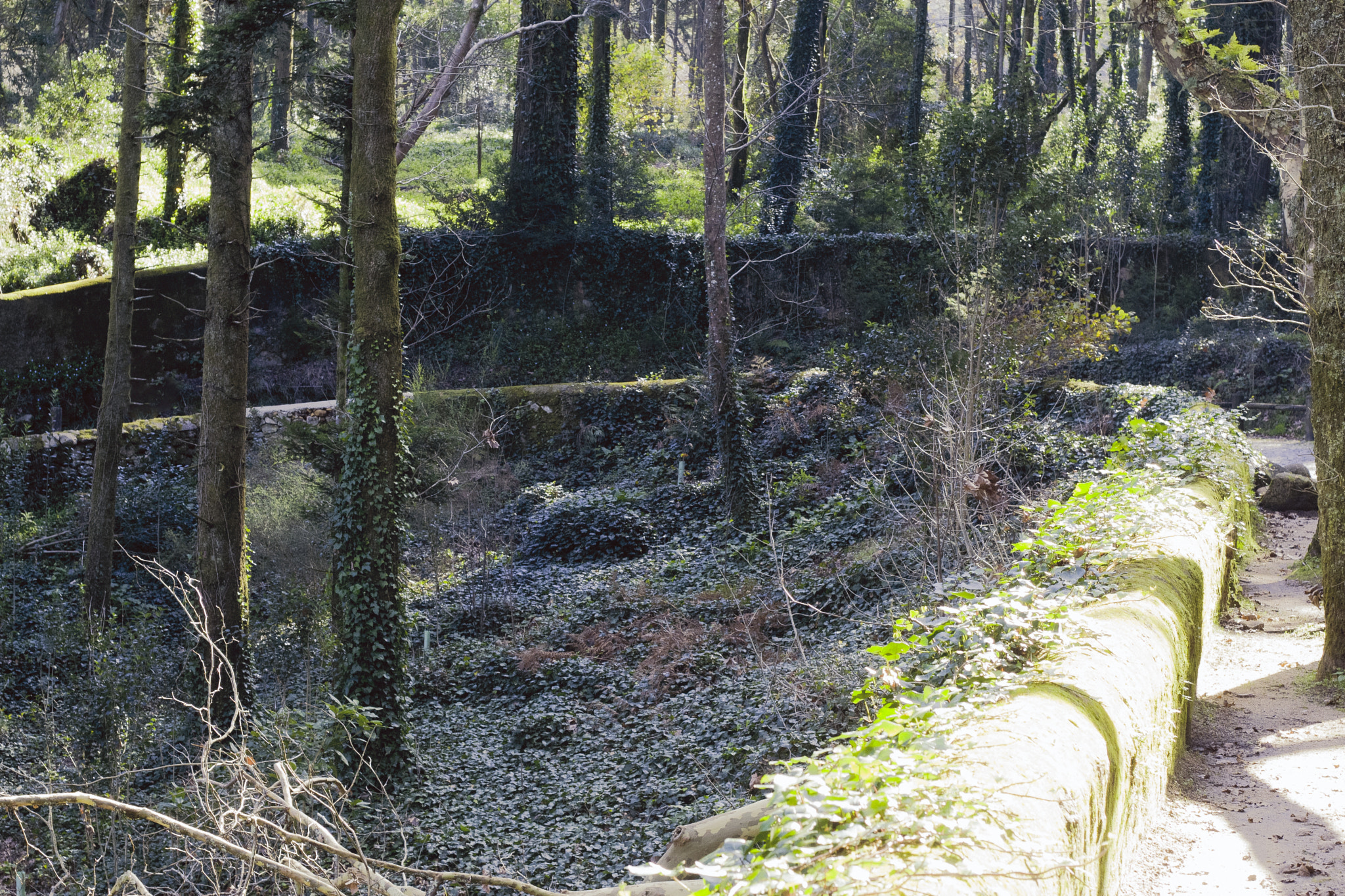 Canon EOS 30D + Canon EF 50mm F1.8 II sample photo. Sintra. photography