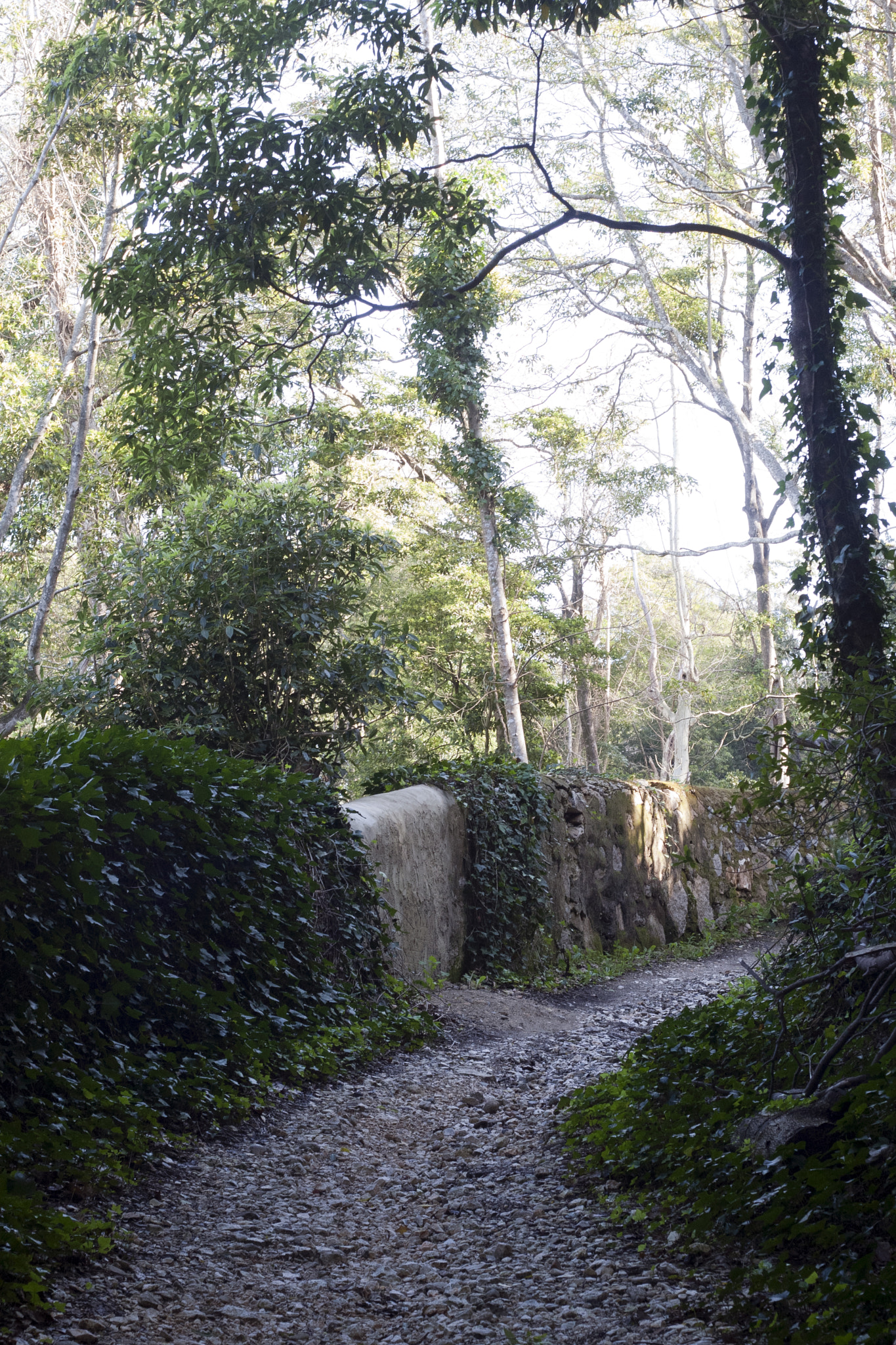 Canon EOS 30D + Canon EF 50mm F1.8 II sample photo. Sintra. photography
