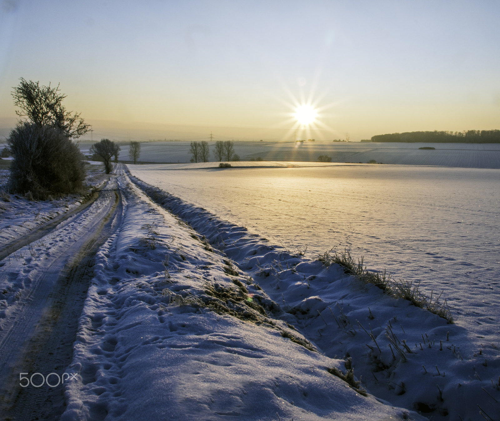 Sigma 17-70mm F2.8-4 DC Macro OS HSM sample photo. Minus 12 degrees photography