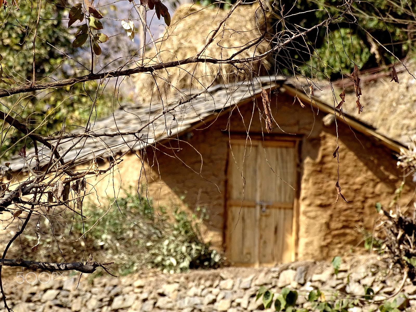 Minolta AF 85mm F1.4 G (D) Limited sample photo. A village cottage near pathwadi photography