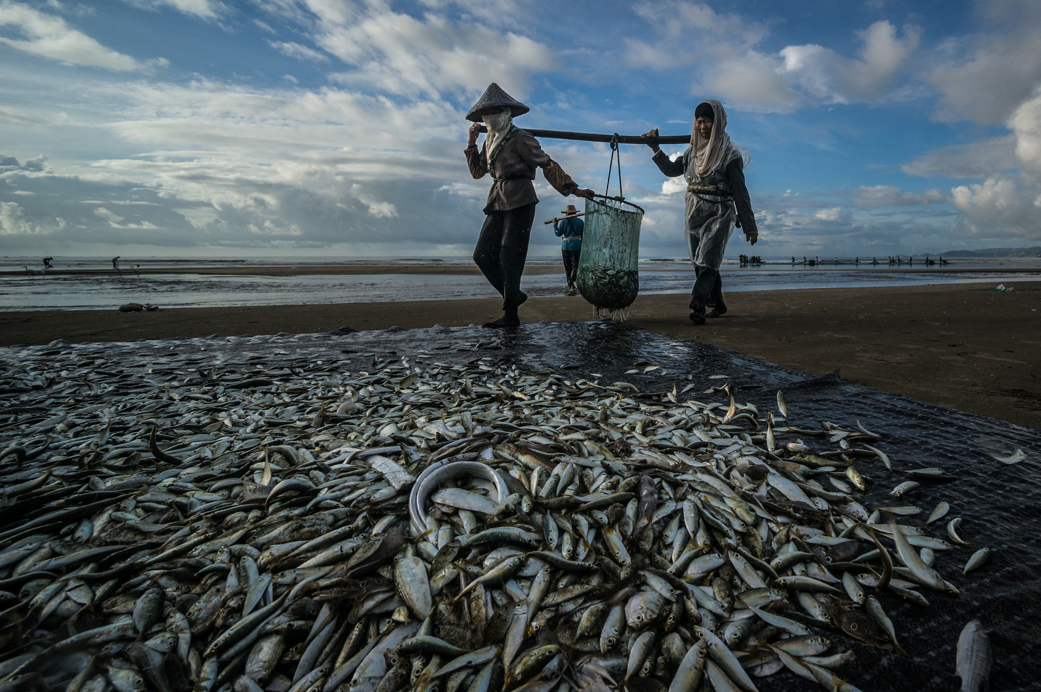 Sony Alpha NEX-6 + Sony E 10-18mm F4 OSS sample photo. Fishermen harvest in eastern guangdong netted fish photography