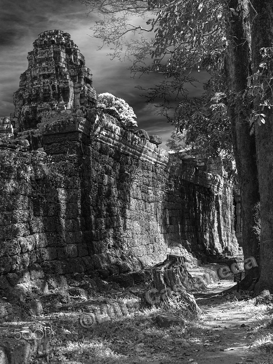 Hasselblad H4D-60 + HC 80 sample photo. Stone walls. banteay kdei. angkor. cambodia photography