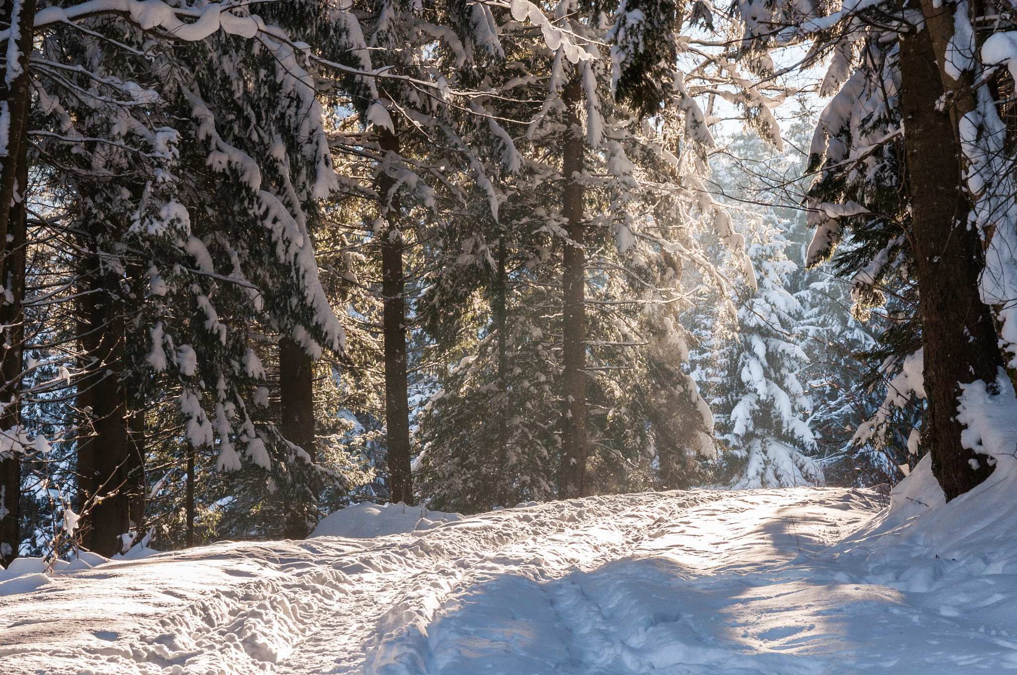 Sigma 17-70mm F2.8-4 DC Macro OS HSM | C sample photo. Winterlandschaft photography