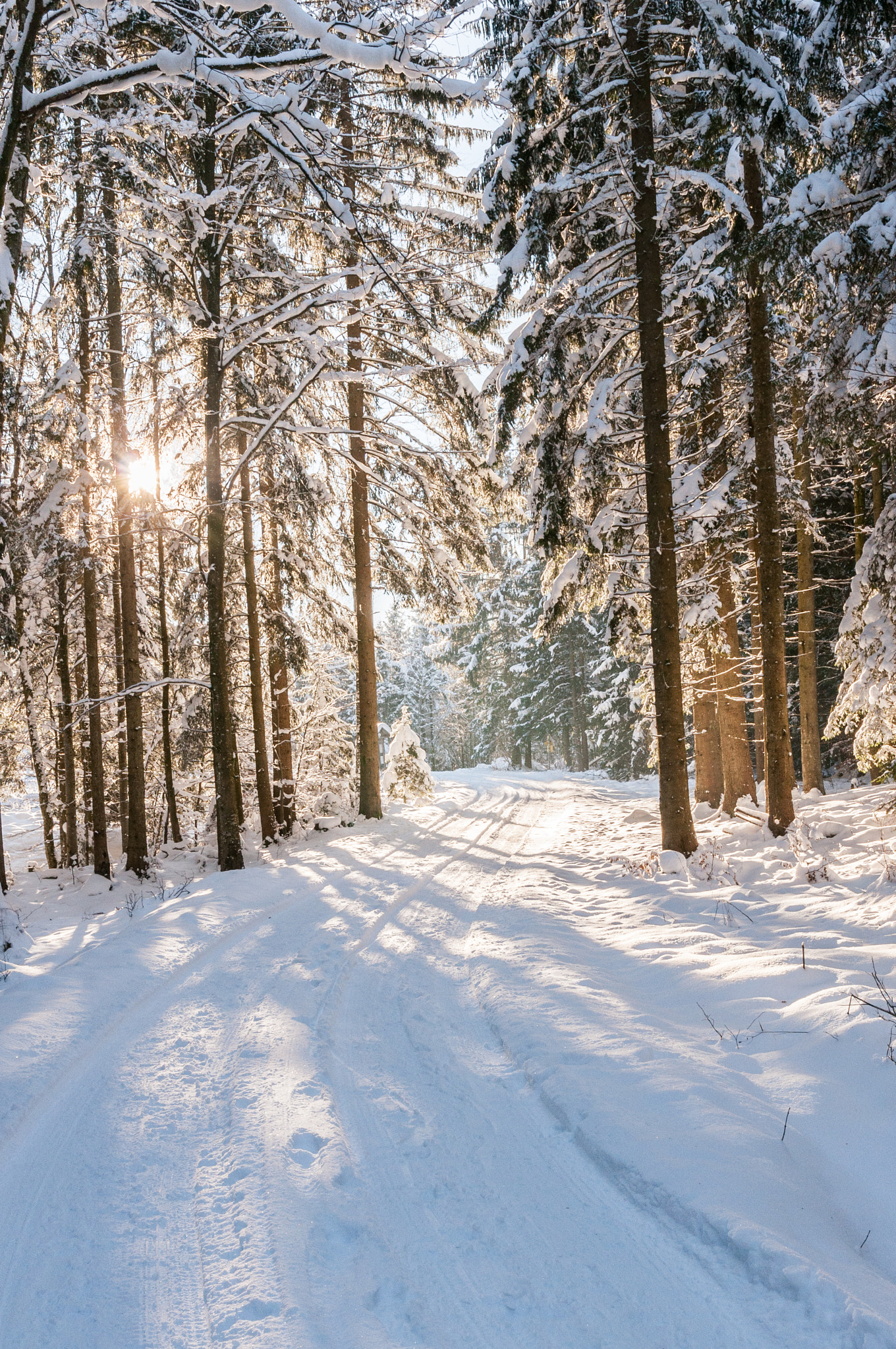 Sigma 17-70mm F2.8-4 DC Macro OS HSM | C sample photo. Winterlandschaft 3 photography
