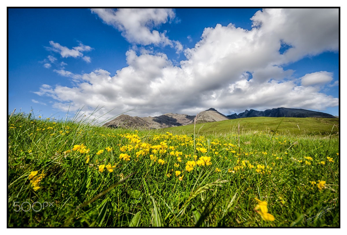 Sigma 12-24mm F4.5-5.6 EX DG Aspherical HSM sample photo. Meadow photography