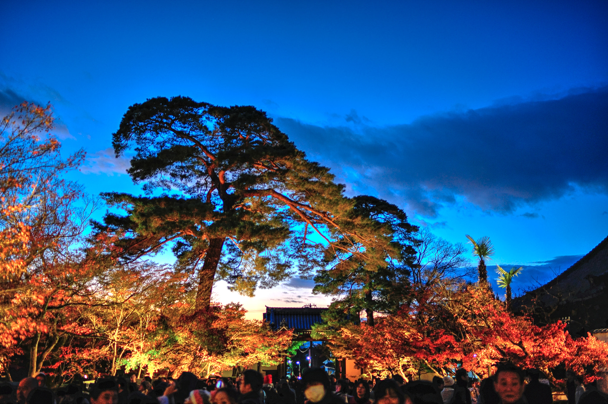 Nikon D3 sample photo. 奈京阪賞楓行 永觀堂 hdr () photography