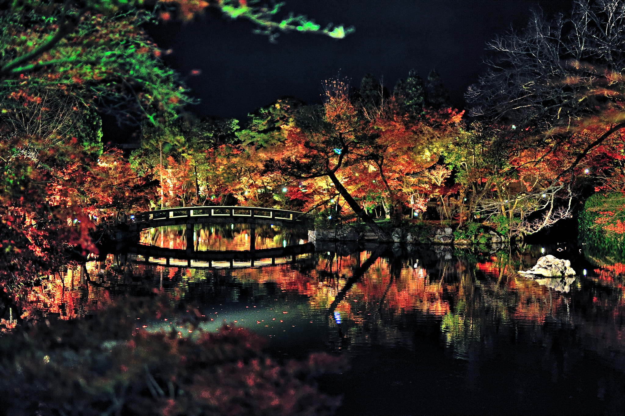 Nikon D3 sample photo. 奈京阪賞楓行 永觀堂 hdr () photography