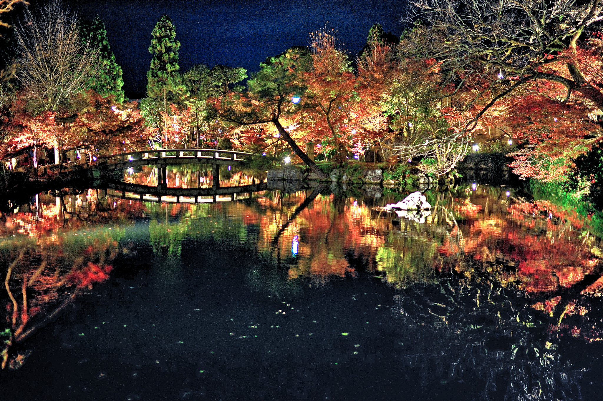 Nikon D3 sample photo. 奈京阪賞楓行 永觀堂 hdr () photography