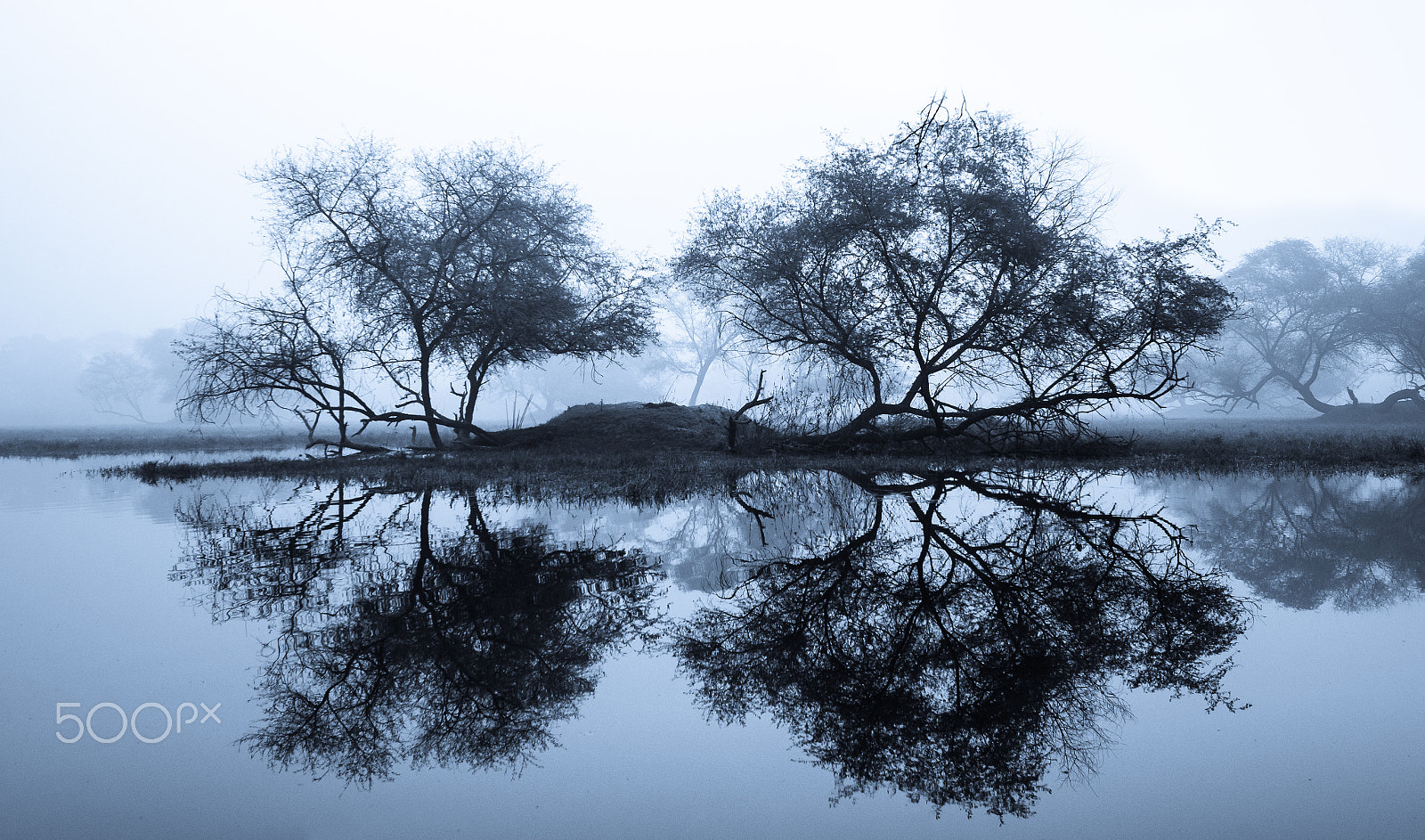 Nikon AF-S Nikkor 16-35mm F4G ED VR sample photo. Symmetrical reflection photography